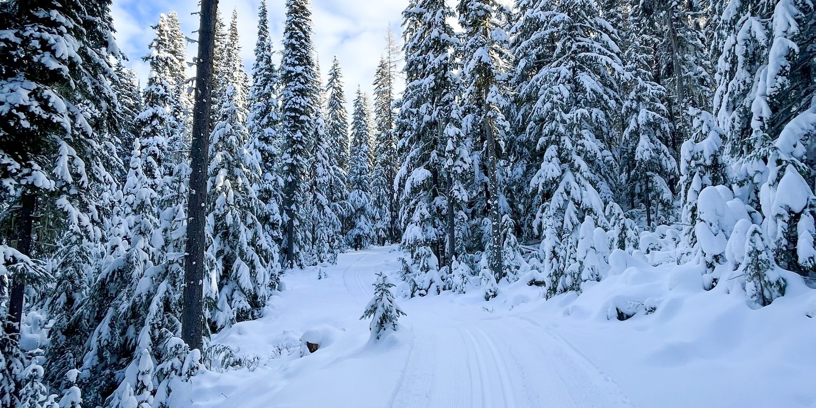 Cross country skiing at Castlegar Nordic