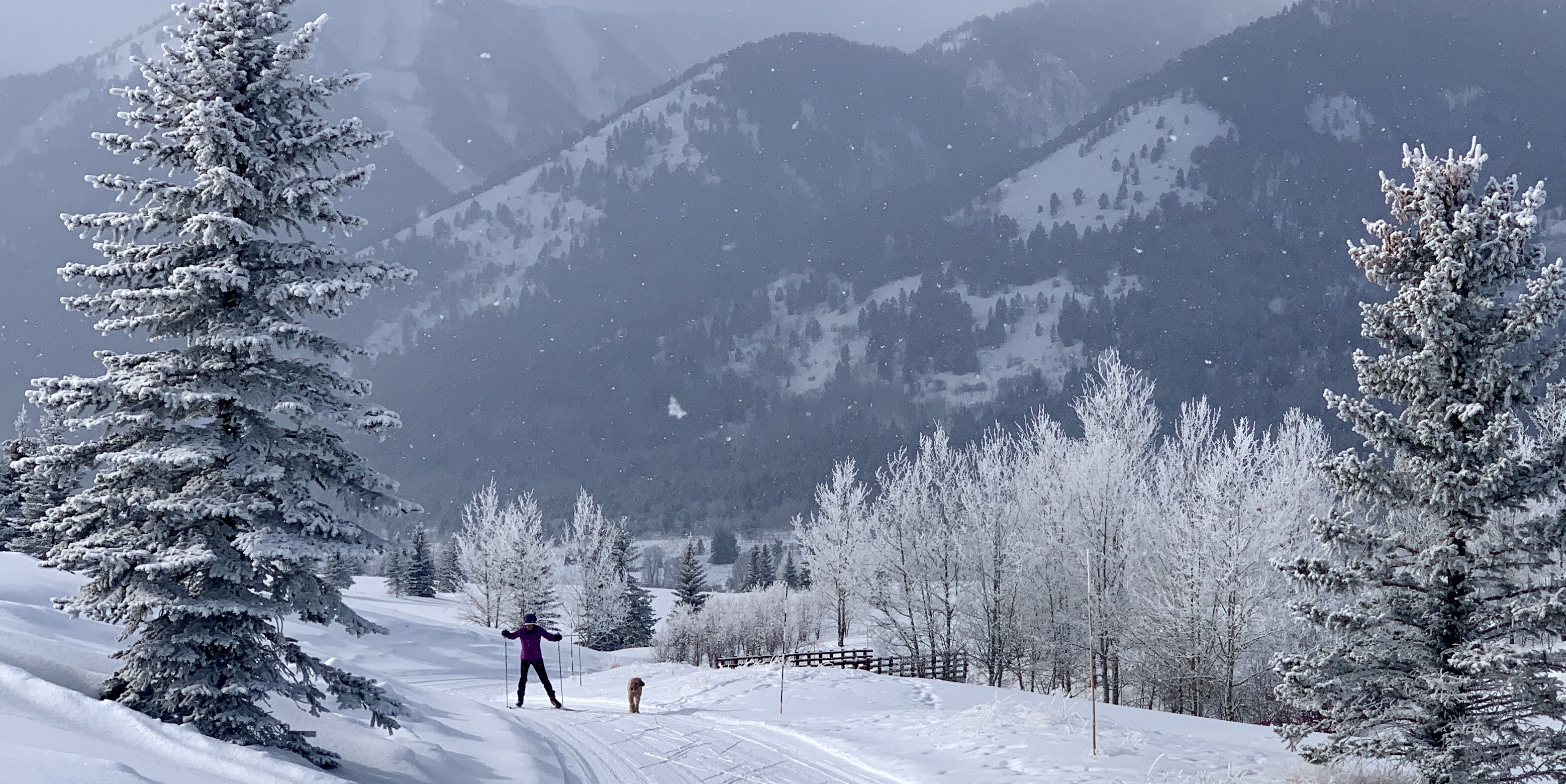 Cross country skiing at Shooting Star Nordic Track