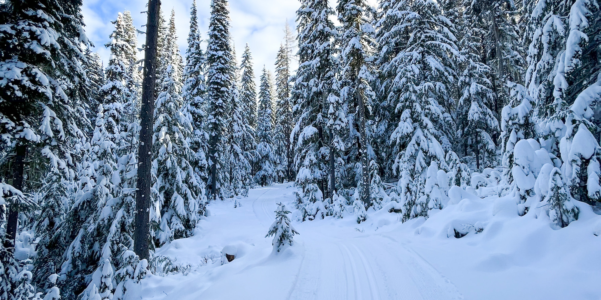 Cross country skiing at Castlegar Nordic