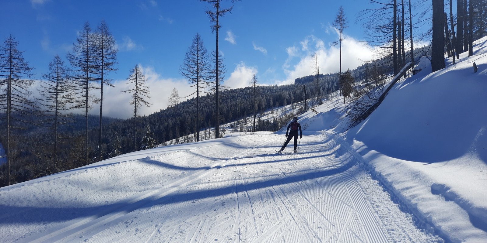 Cross country skiing at Mount Spokane State Park