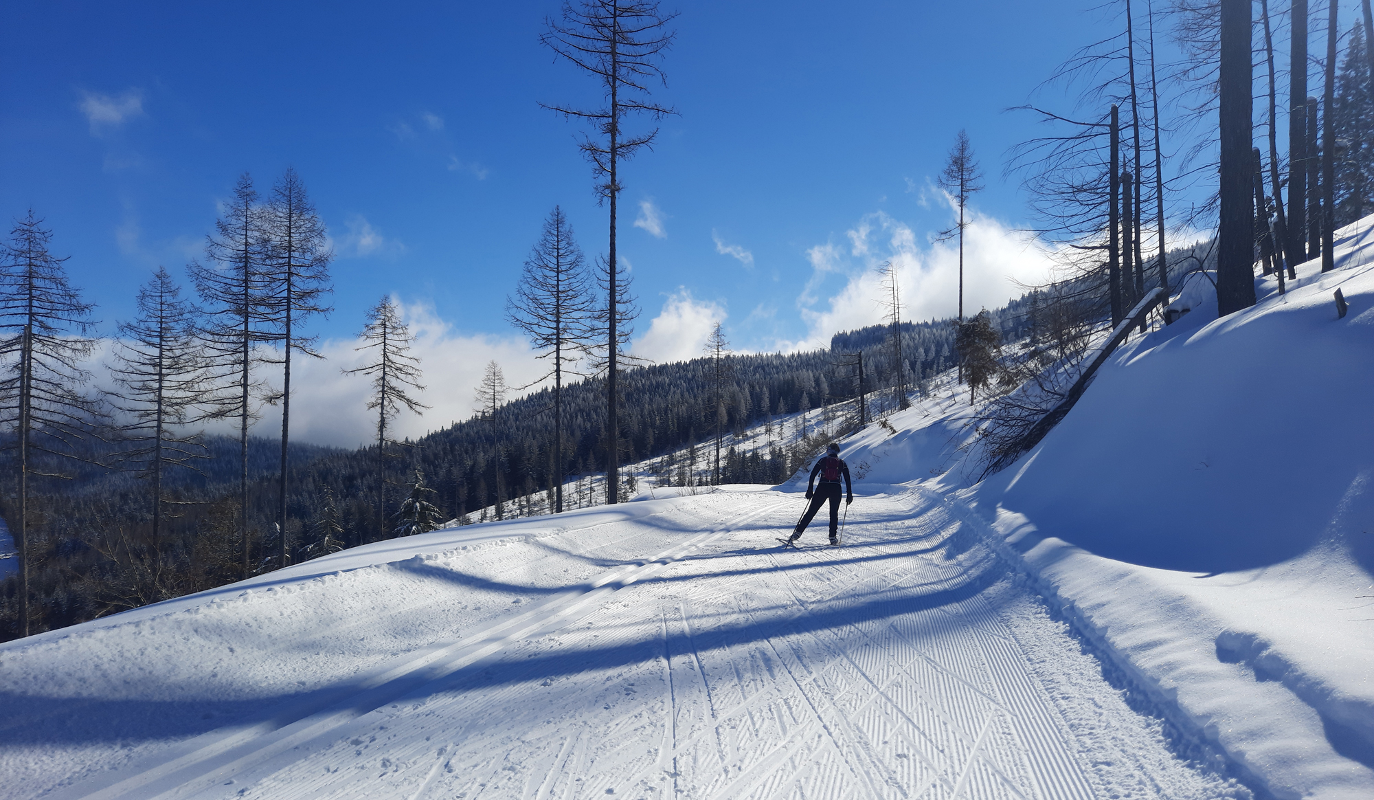 Cross country skiing at Mount Spokane State Park