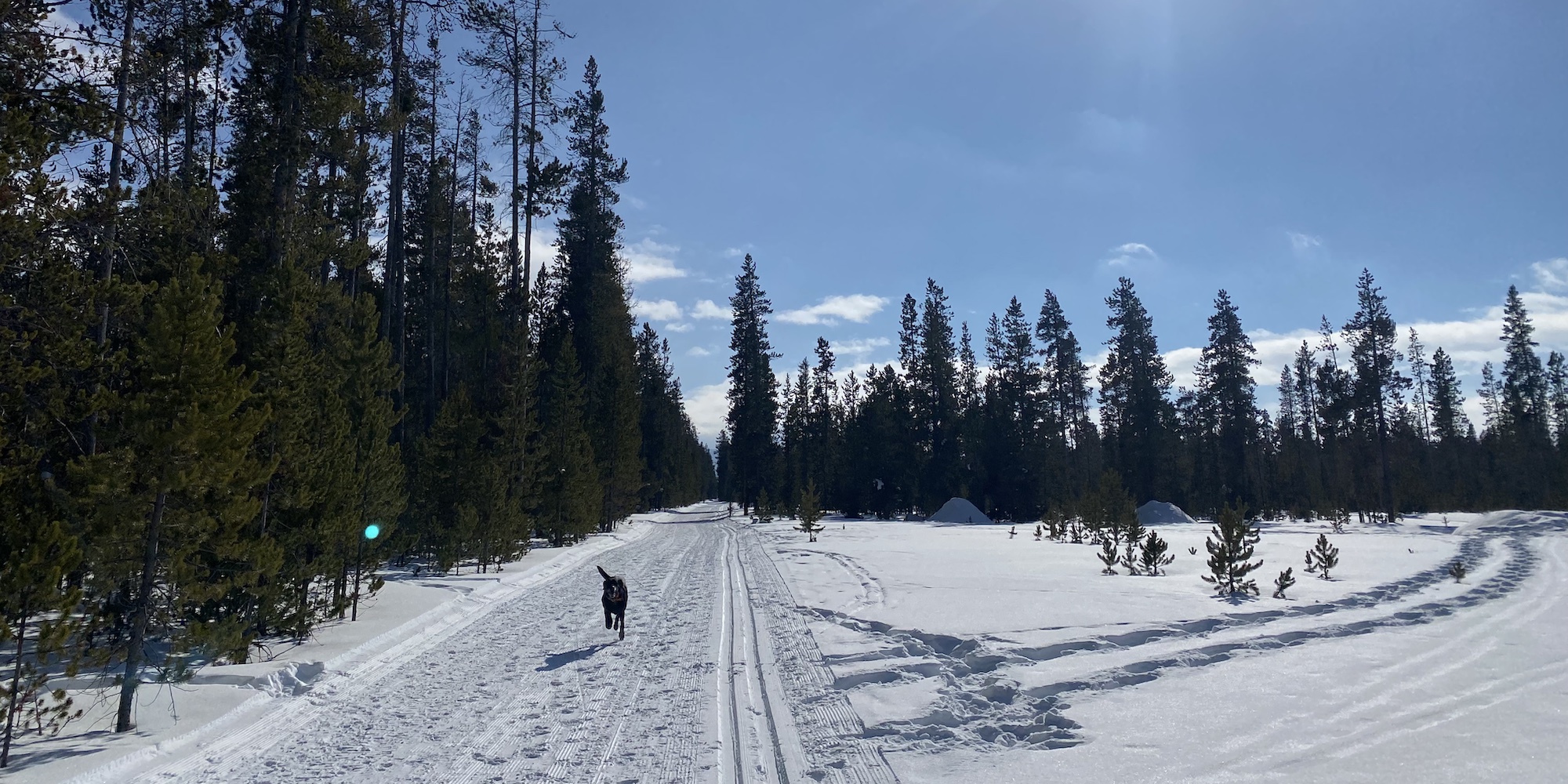 Cross country skiing at Boundary Trails