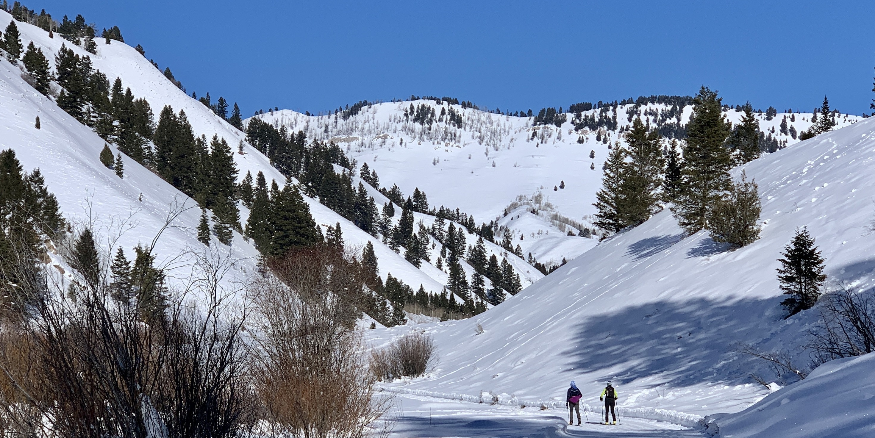 Cross country skiing at Town of Jackson