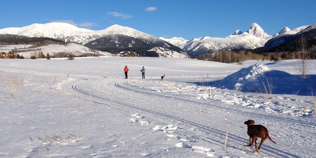 Cross country skiing at Alta Nordic Track