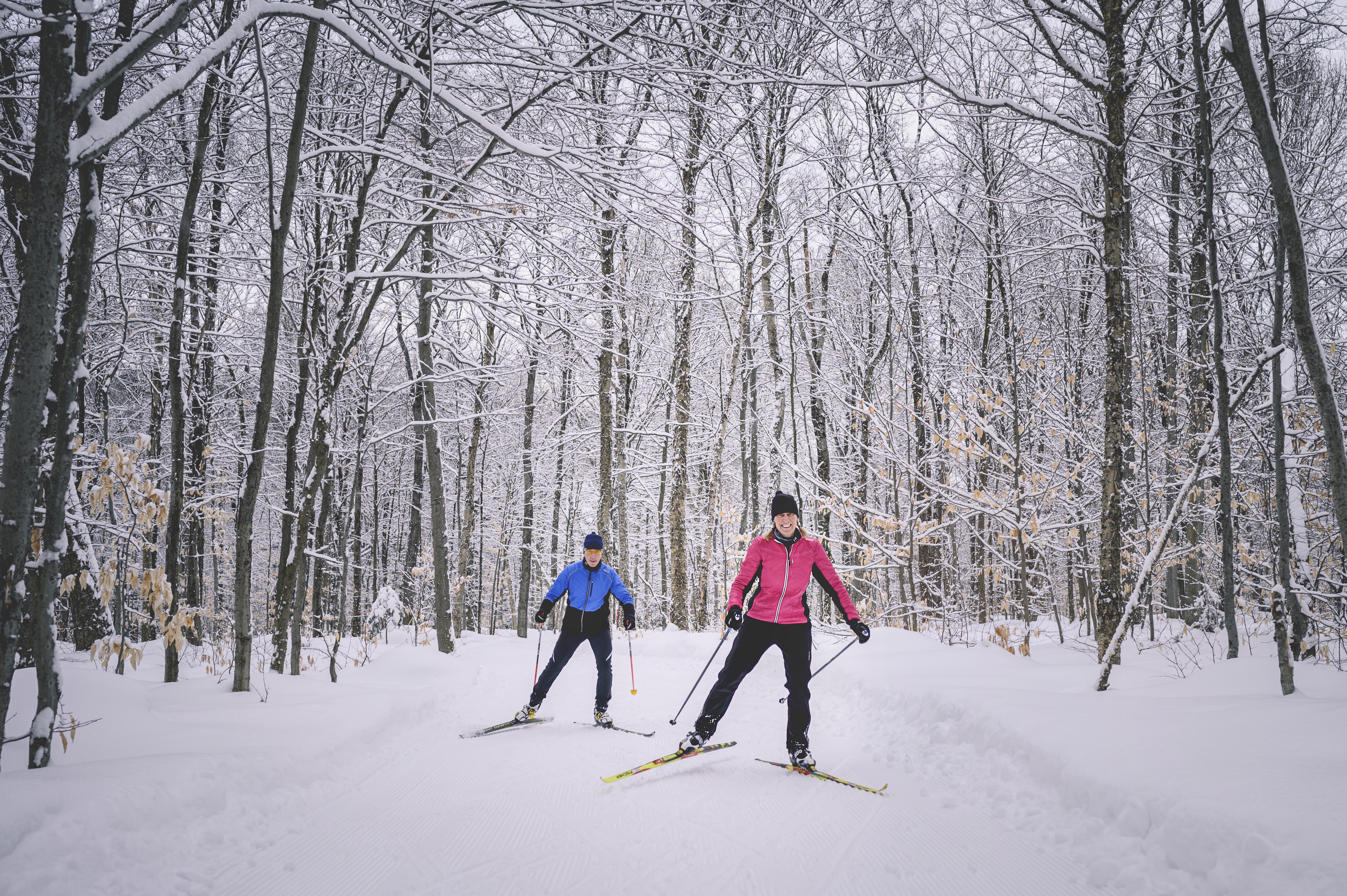 Cross country skiing at Duchesnay