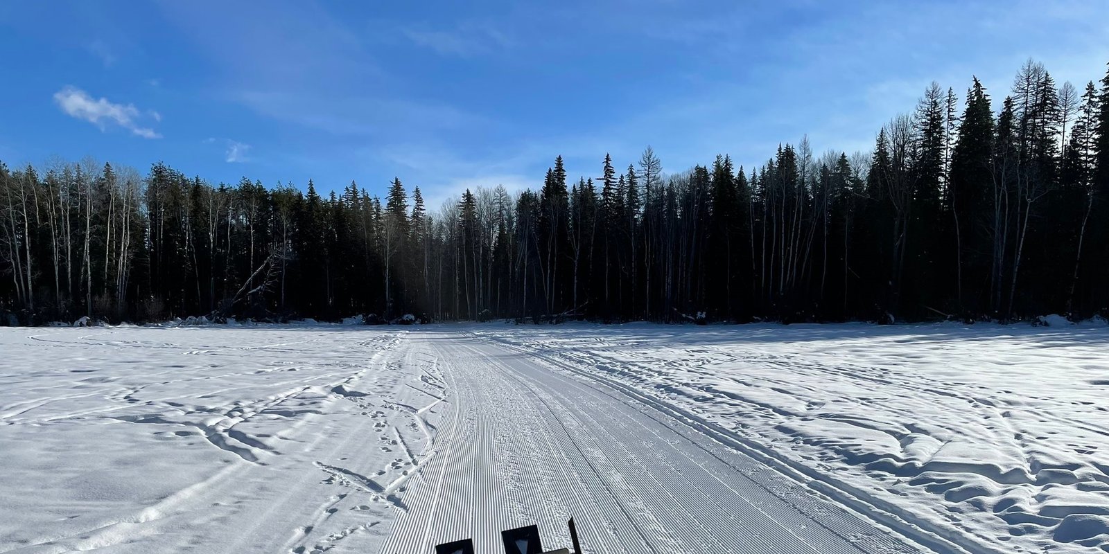 Cross country skiing at Round Meadow Winter Trails