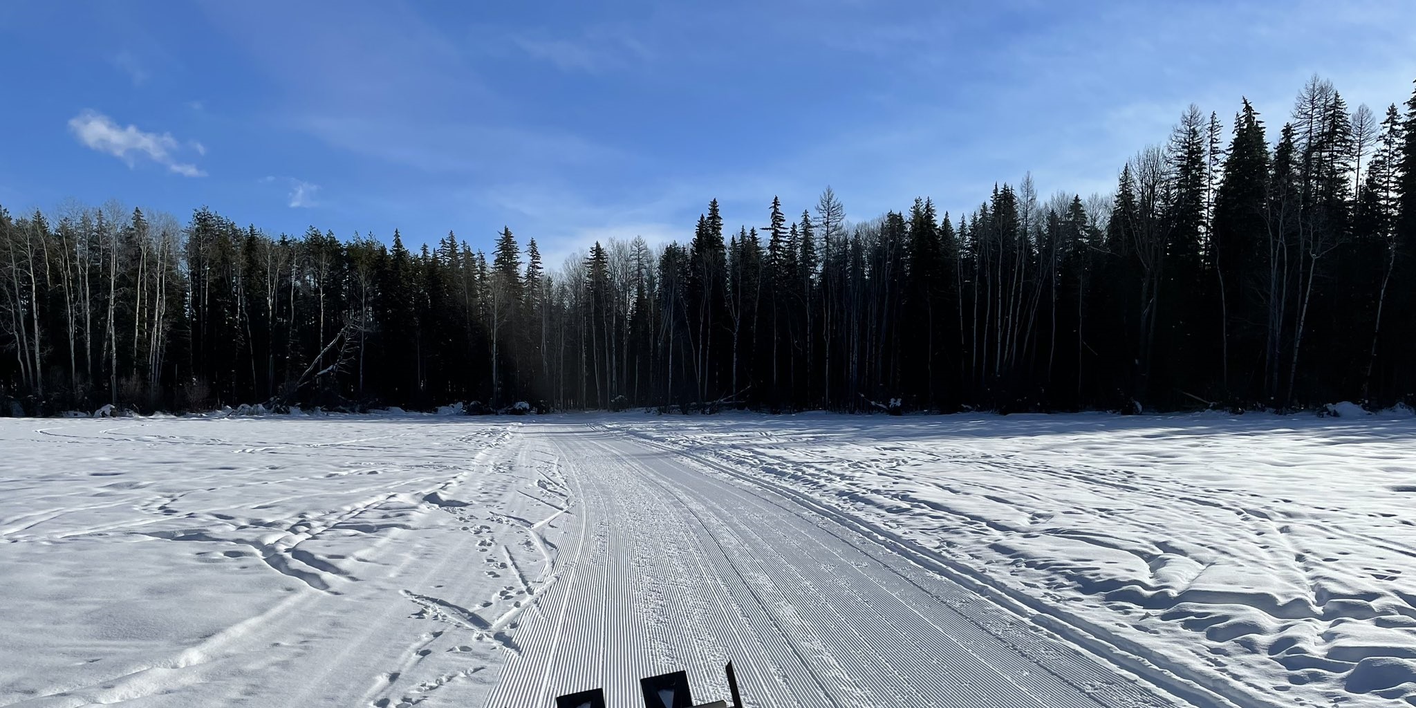 Cross country skiing at Round Meadow Winter Trails