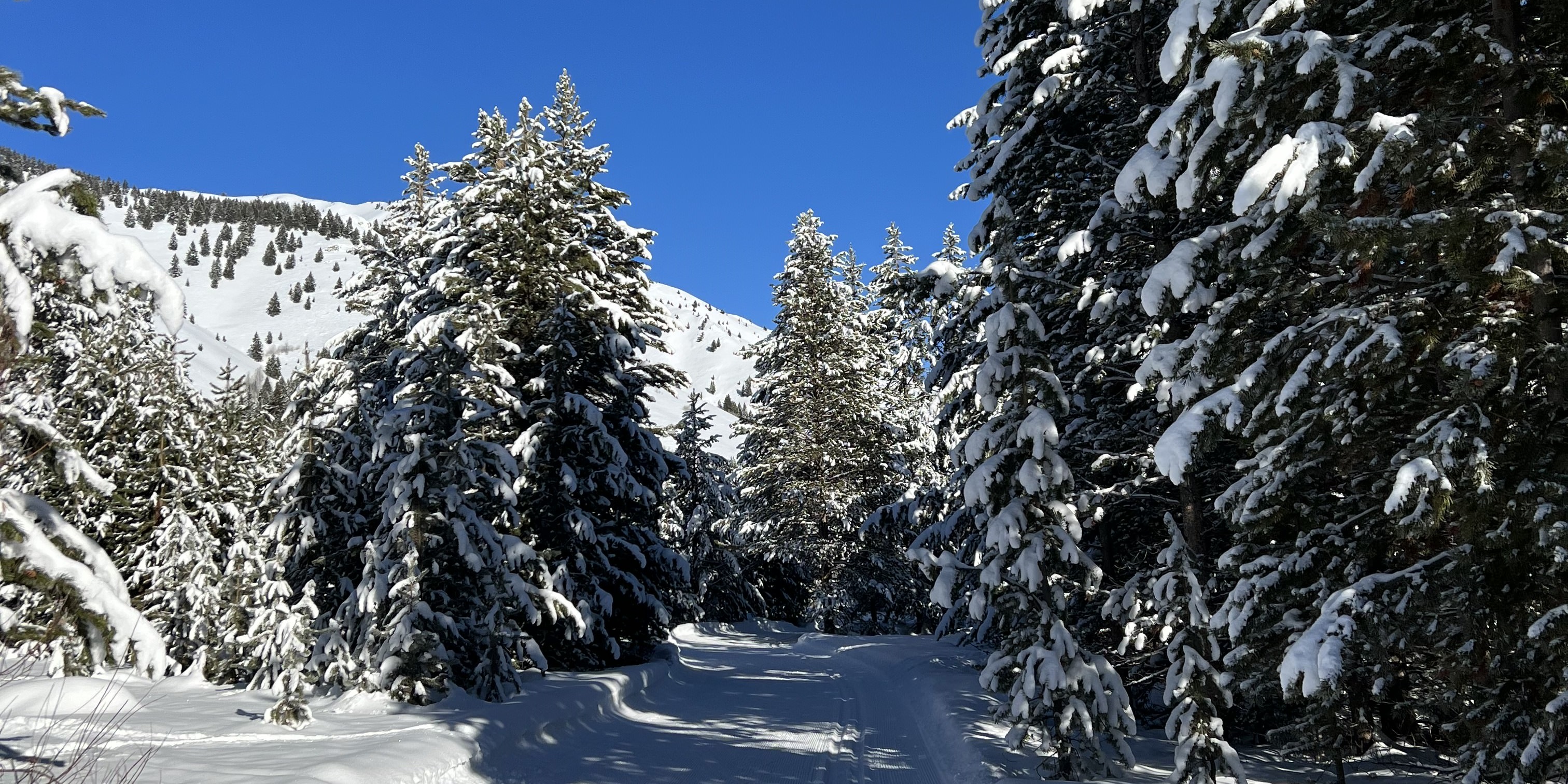 Cross country skiing at BCRD Harriman - Prairie Creek - Durrance