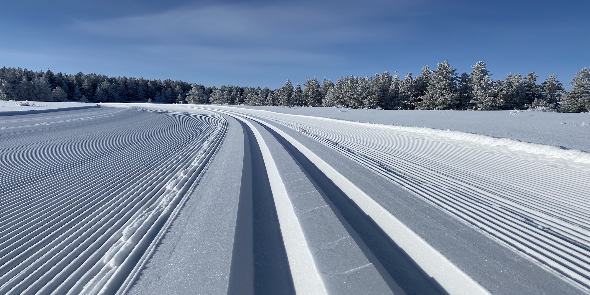 Cross country skiing at Cypress Hills