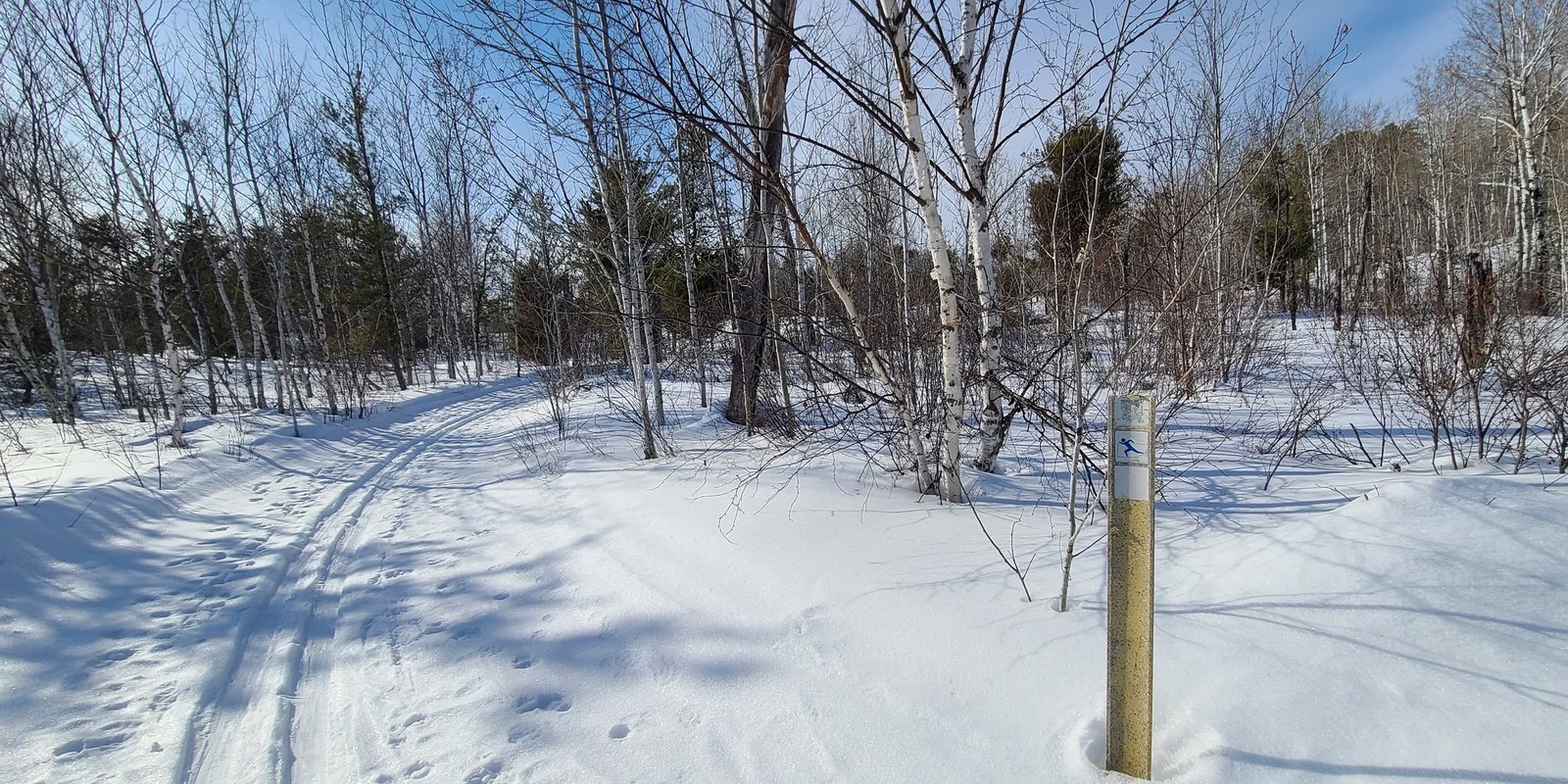 Cross country skiing at Fort à la Corne Trails