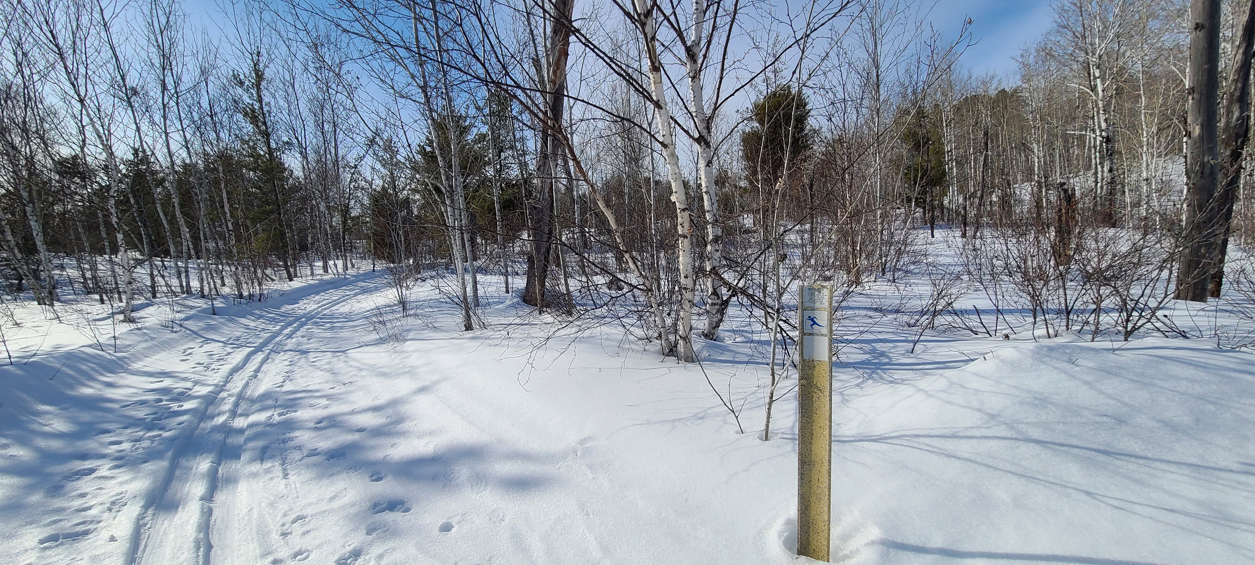 Cross country skiing at Fort à la Corne Trails