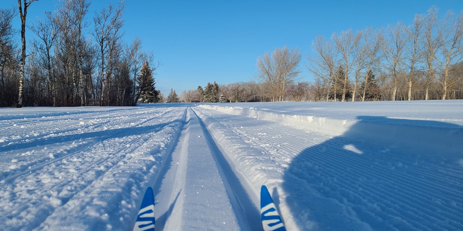 Cross country skiing at Melfort Golf Course