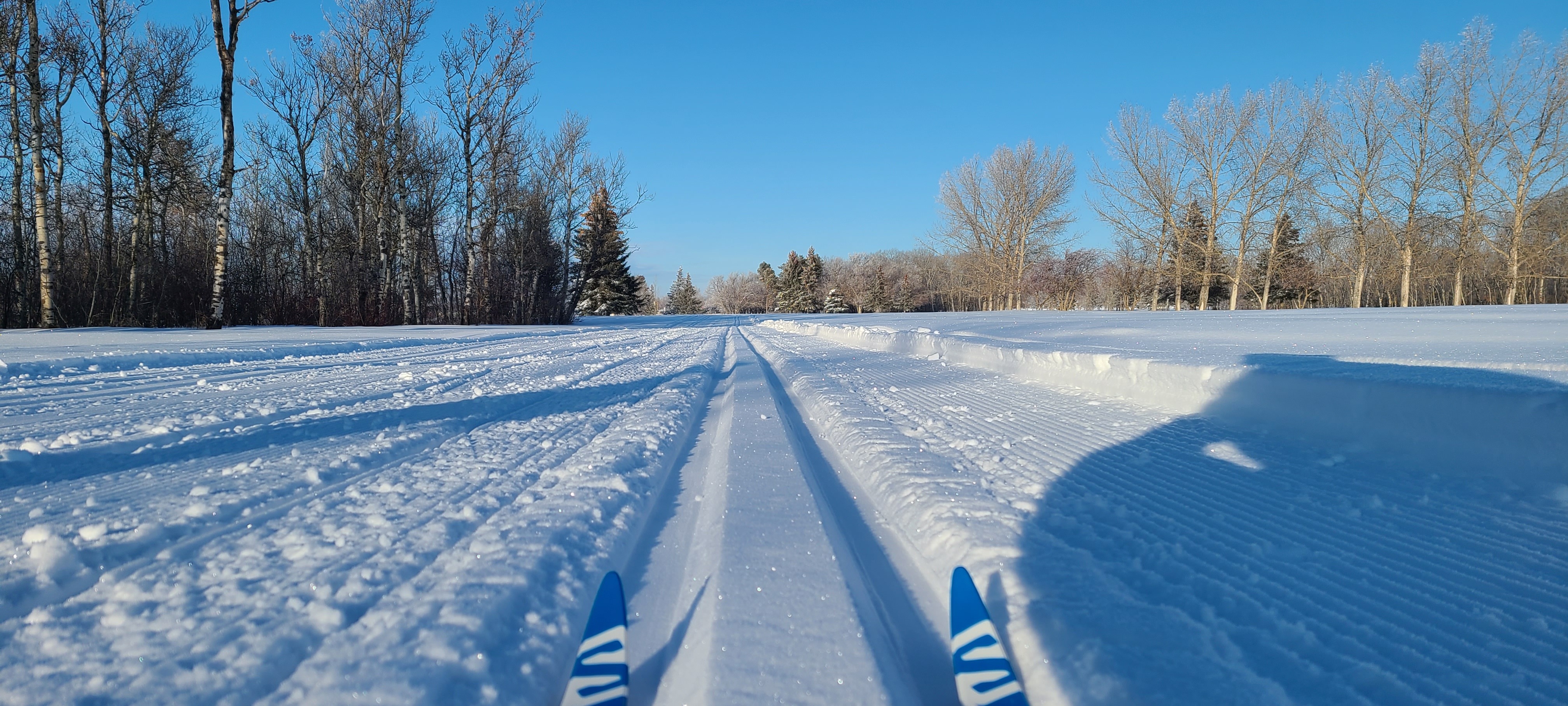 Cross country skiing at Melfort Golf Course