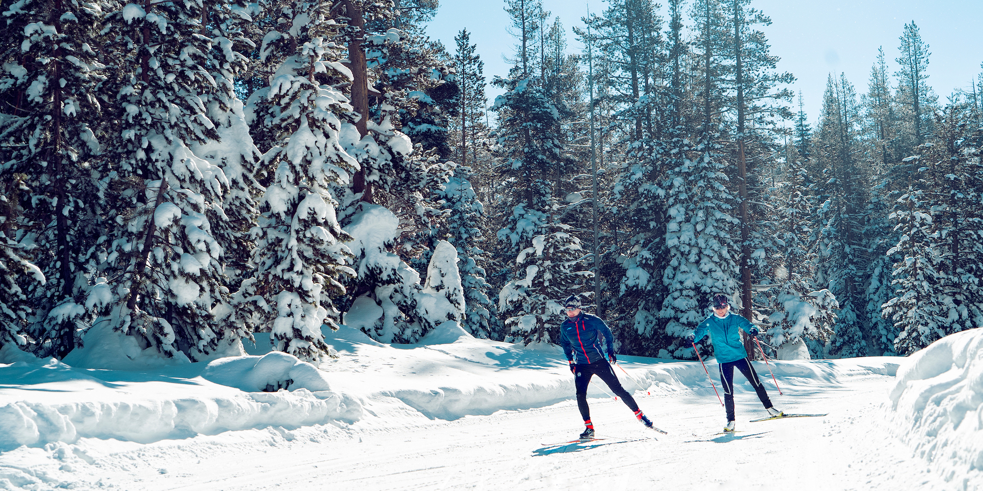 Cross country skiing at Royal Gorge