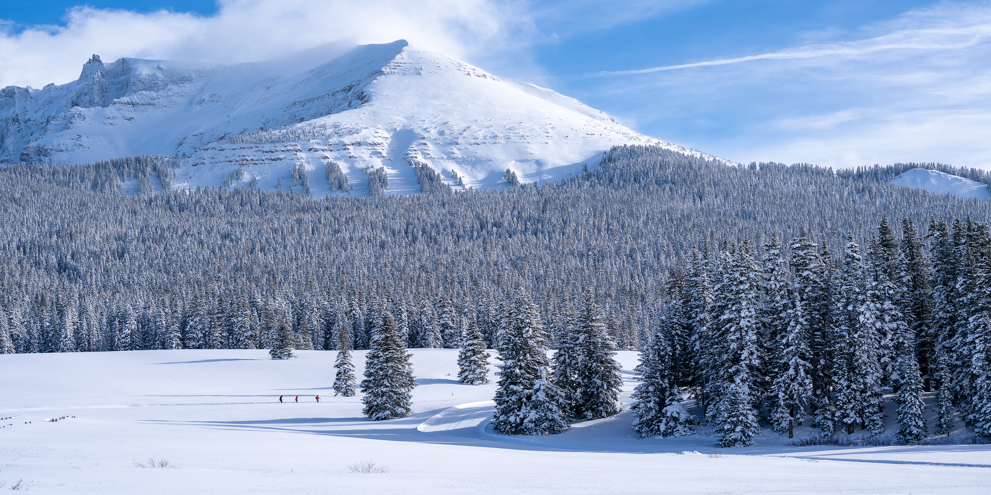 Cross country skiing at Trout Lake