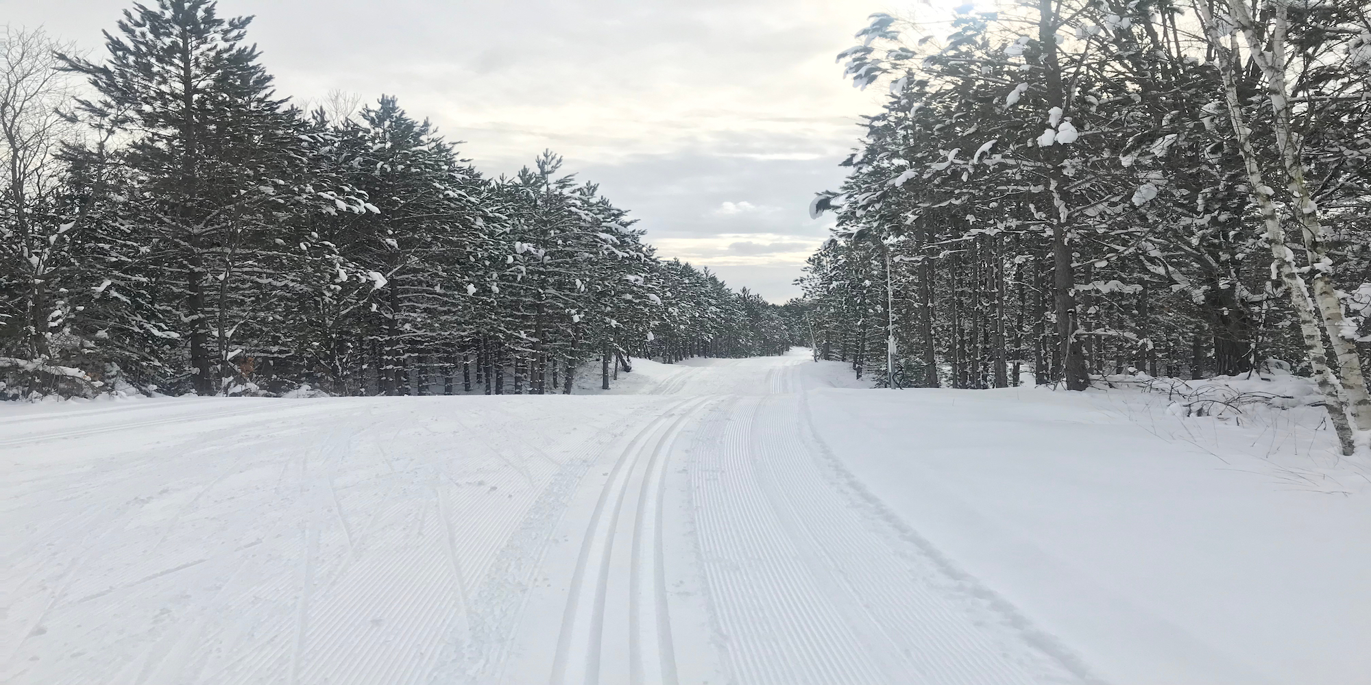 Cross country skiing at Forbush Corner Nordic