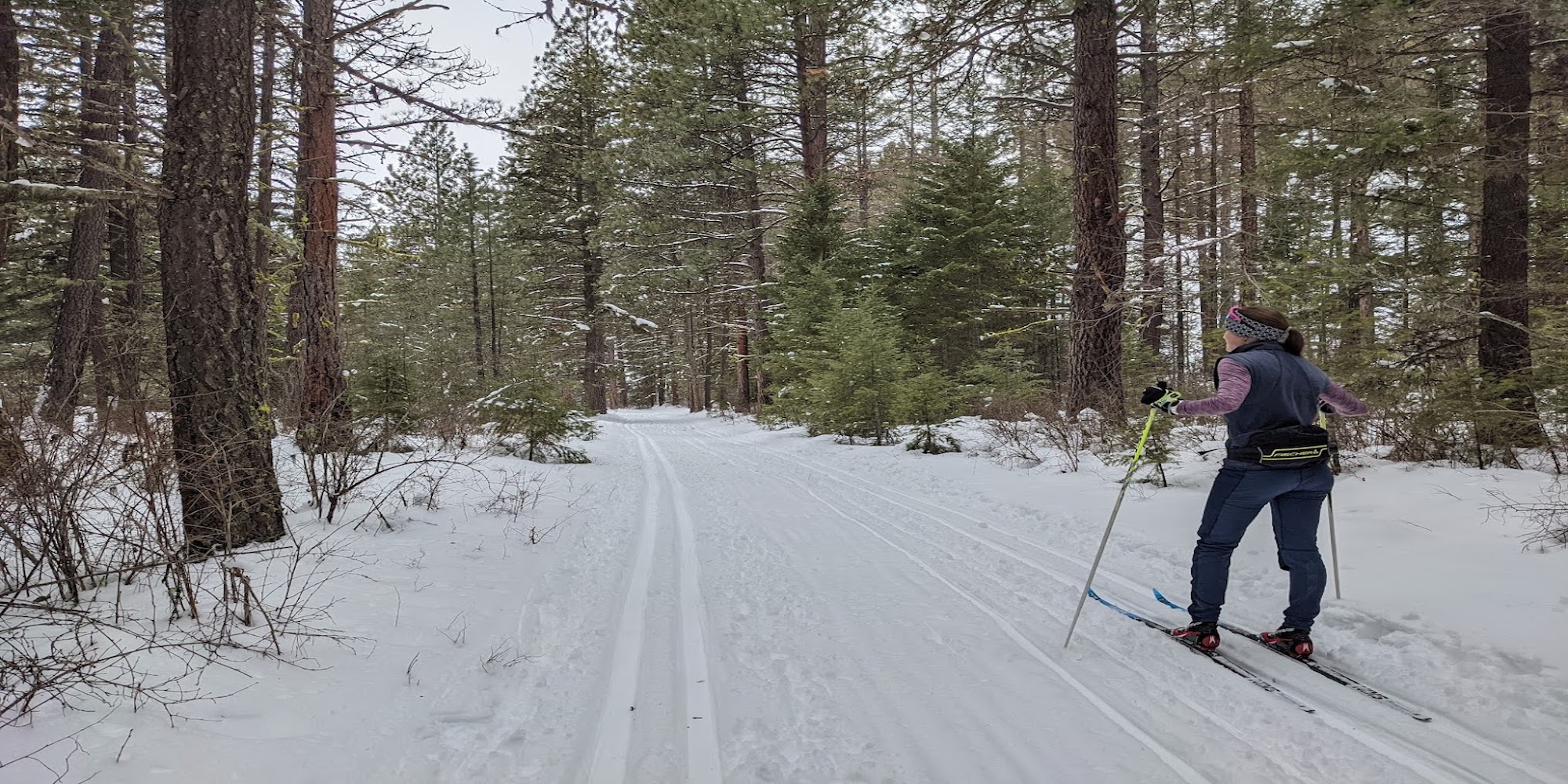 Cross country skiing at Rattlesnake Trail