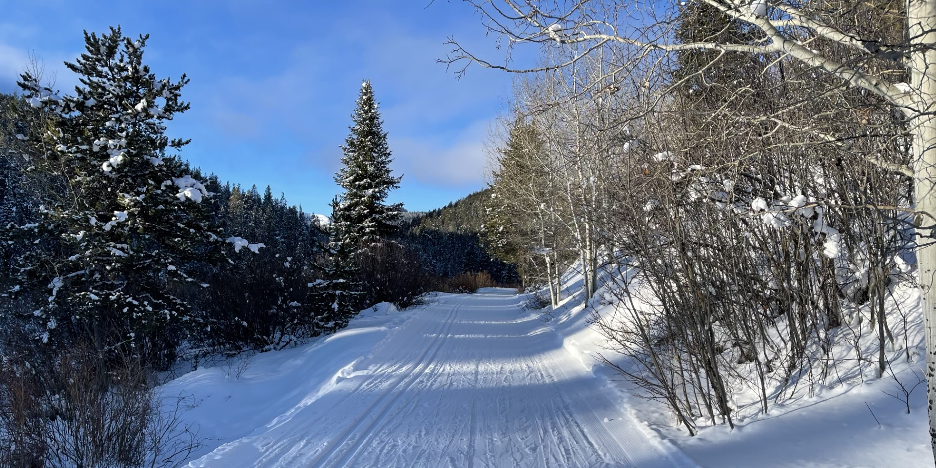 Cross country skiing at Southern Valley Nordic Trails