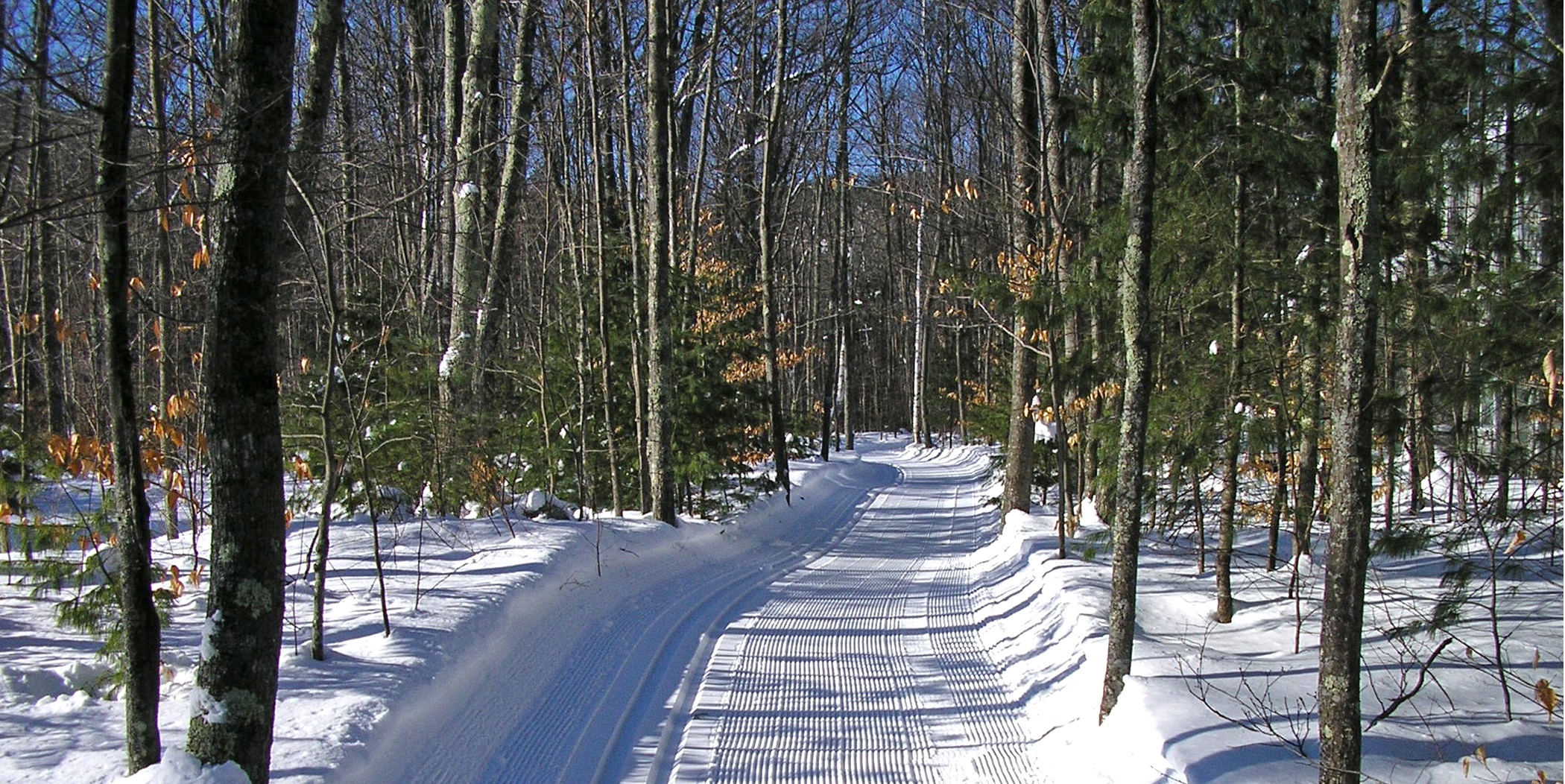 Cross country skiing at Mount Washington Valley Ski Touring & Snowshoe Center