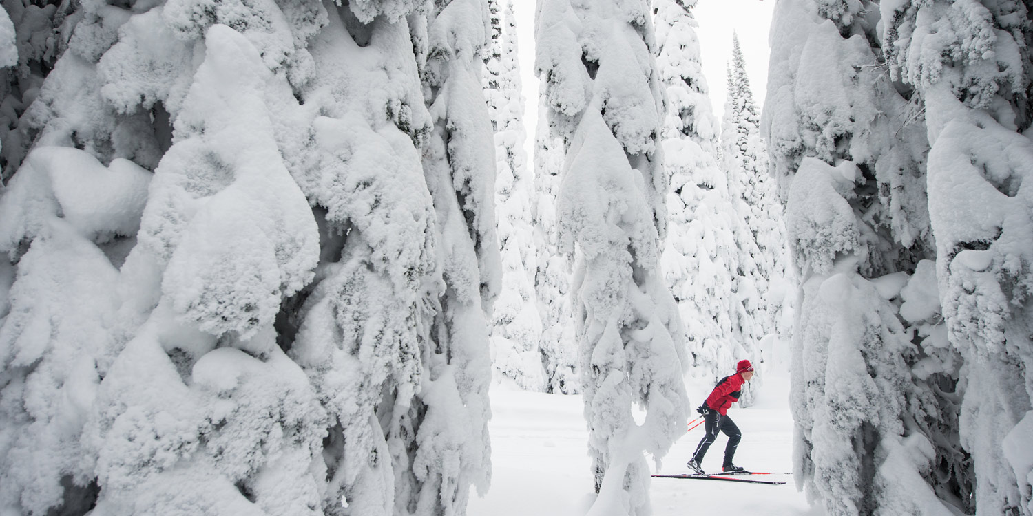 Cross country skiing at SilverStar Mountain Resort