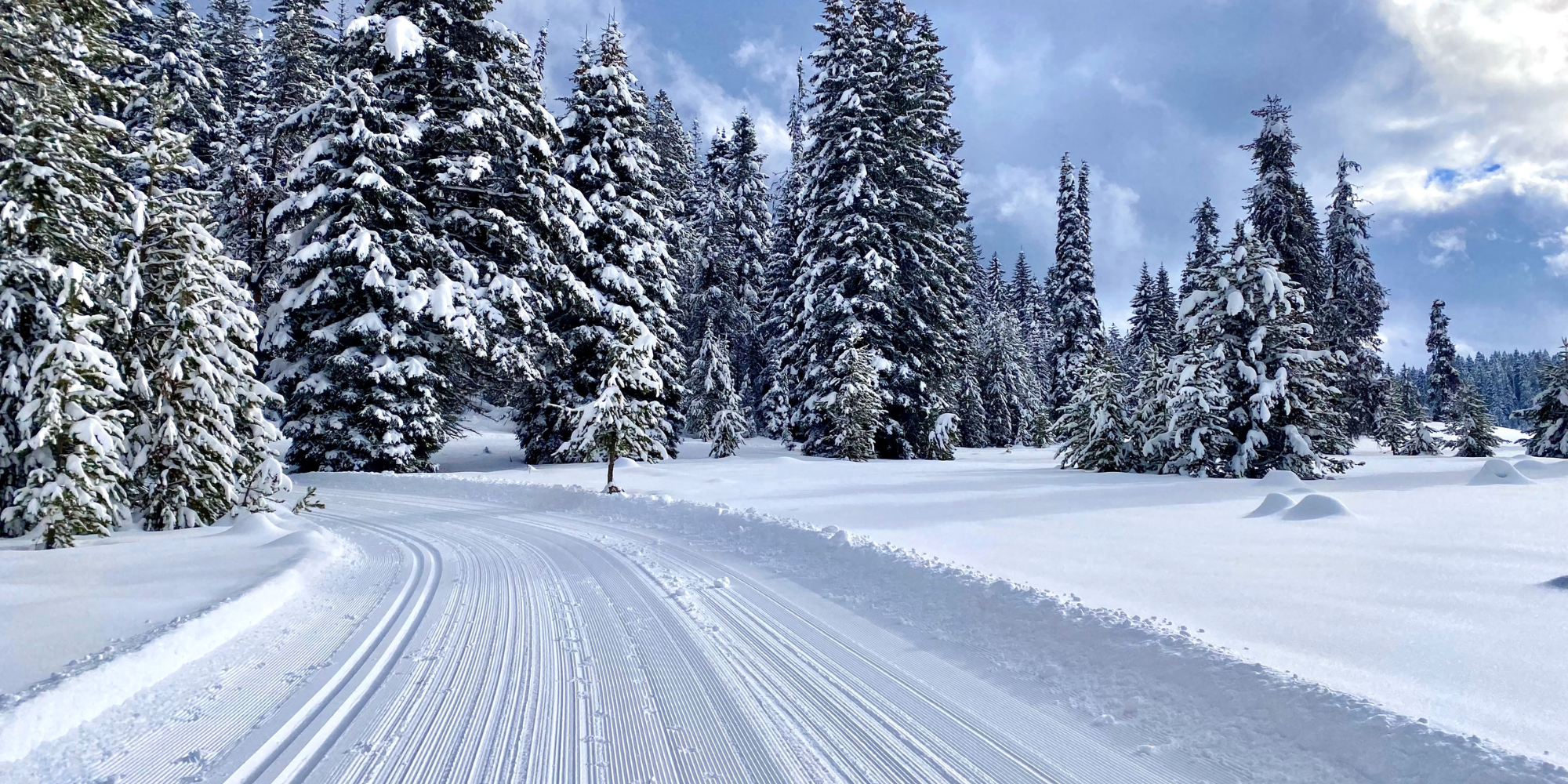 Cross country skiing at Bear Basin Nordic Center