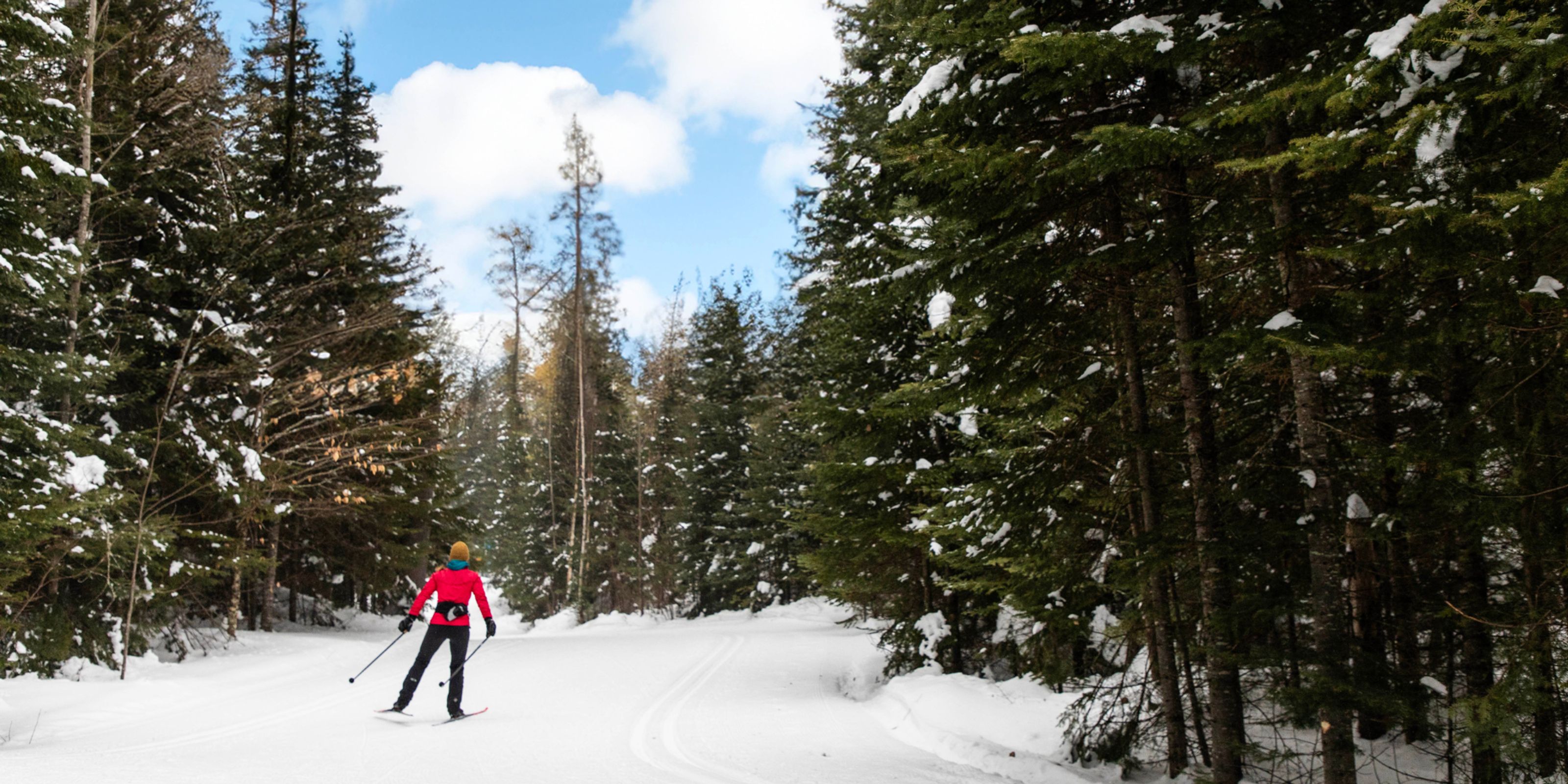 Cross country skiing at La Mauricie National Park