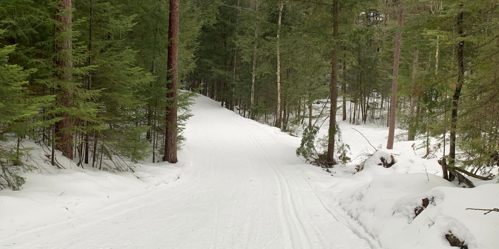 Cross country skiing at Saux Head Ski Trails