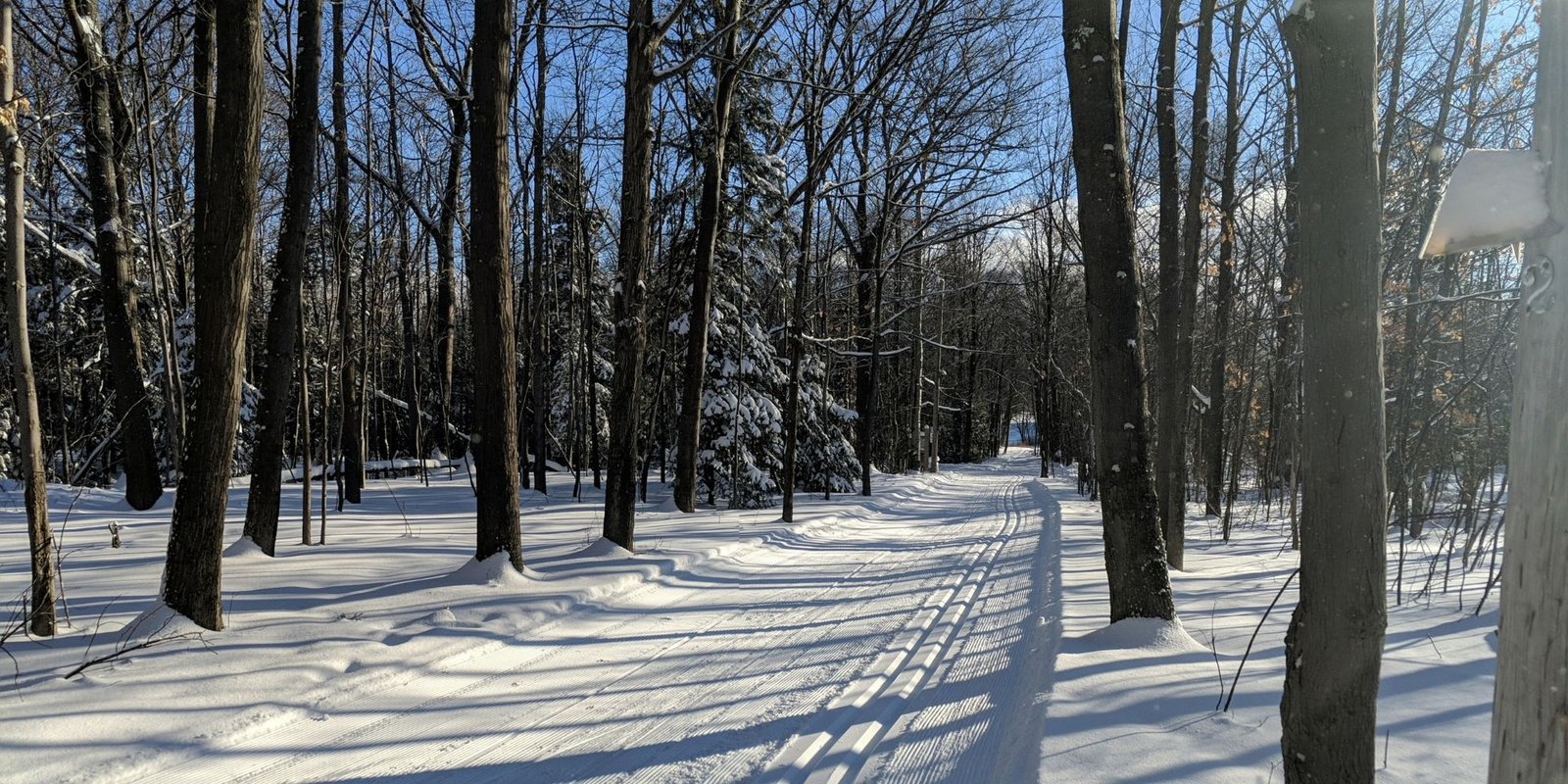 Cross country skiing at Fit Strip