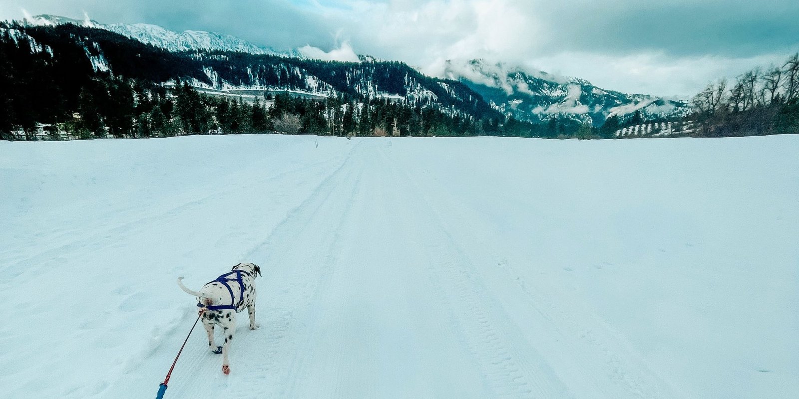 Cross country skiing at Peshastin Mill Site