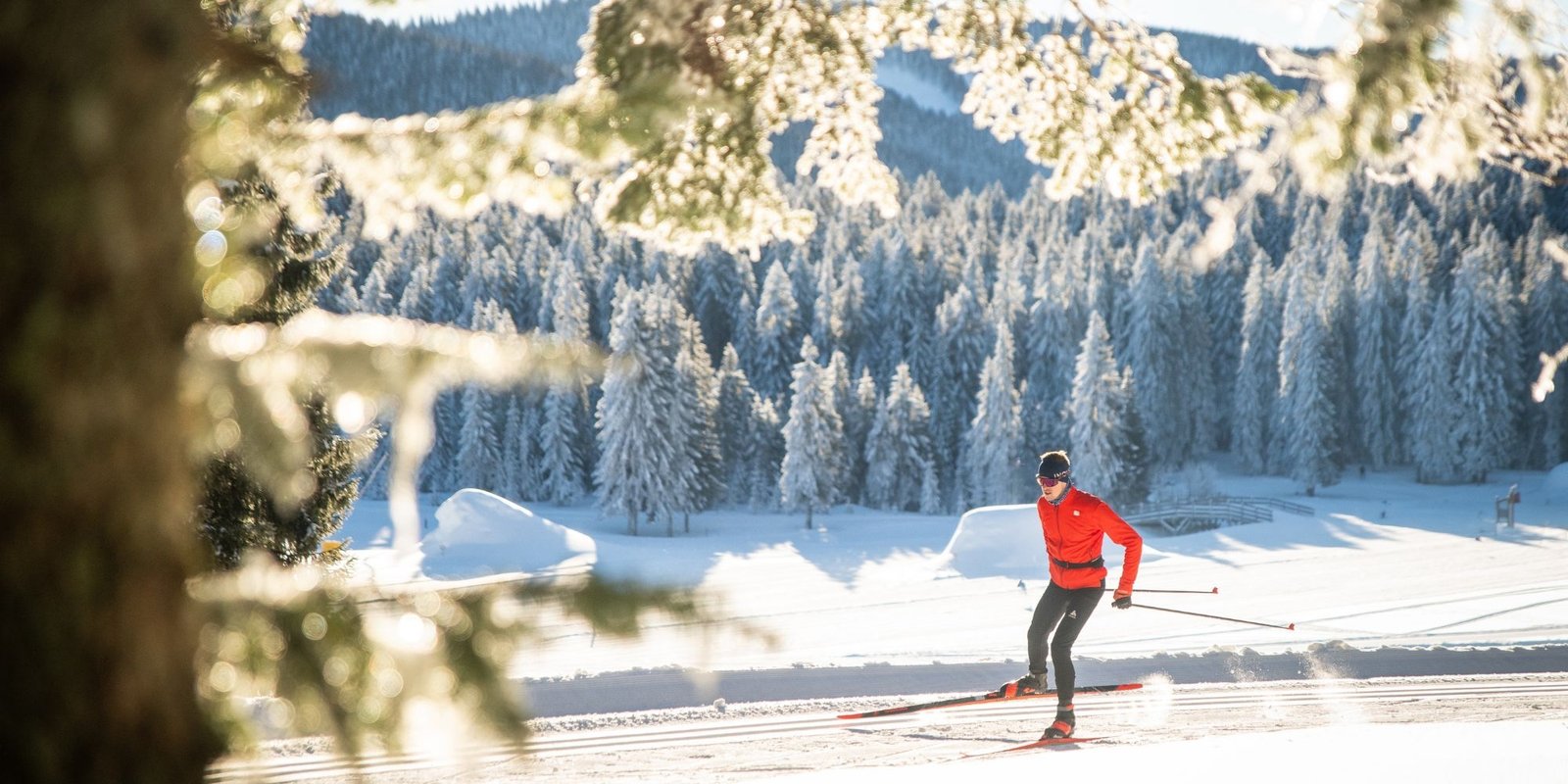 Cross country skiing at Autrans - Méaudre