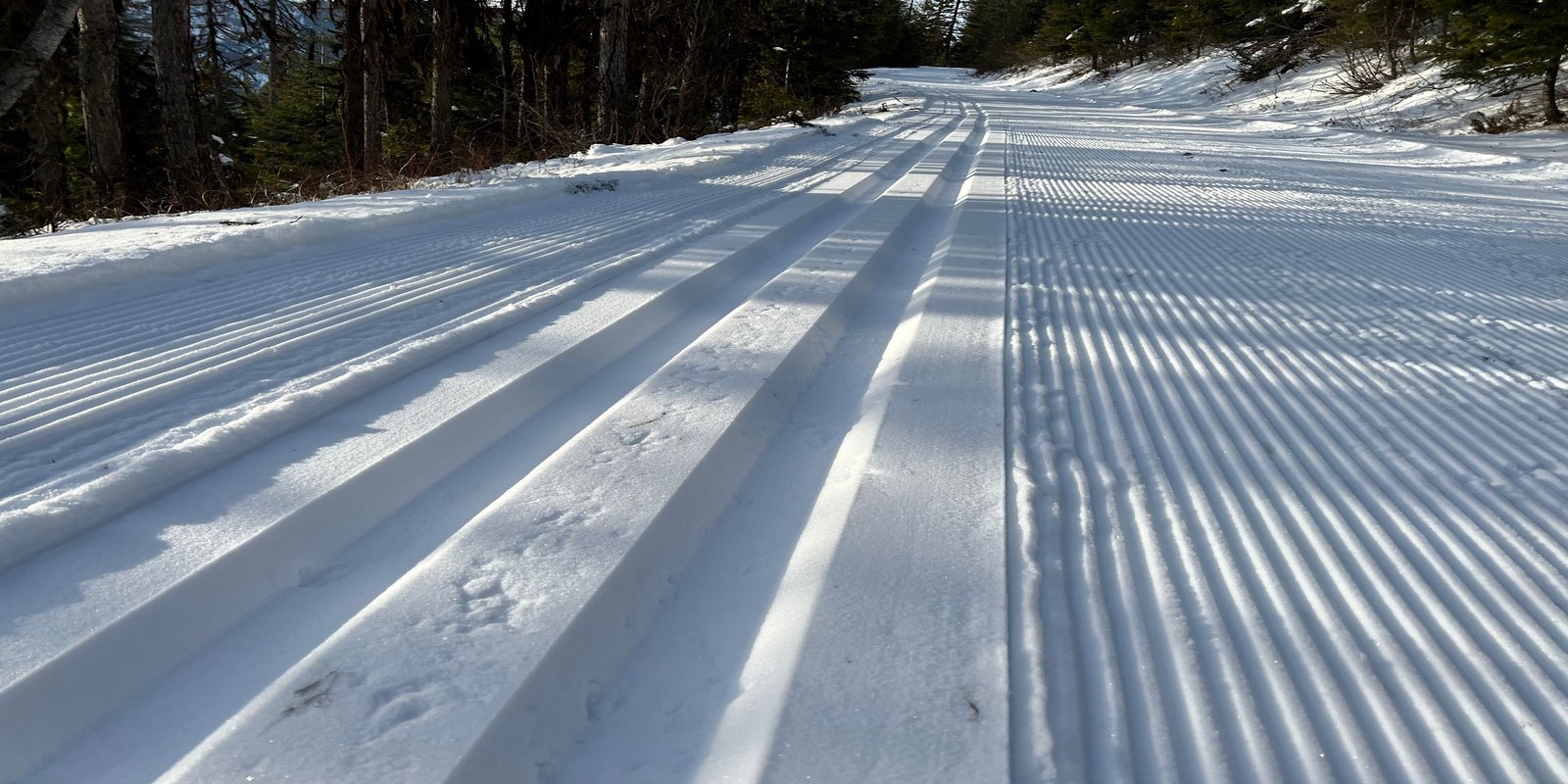Cross country skiing at Blacktail Mountain Nordic Trails