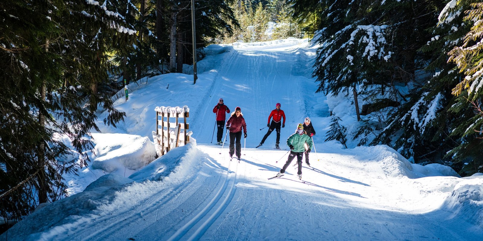Cross country skiing at Revelstoke Nordic Ski Club