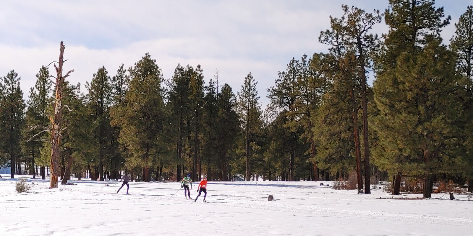 Cross country skiing at Cloman