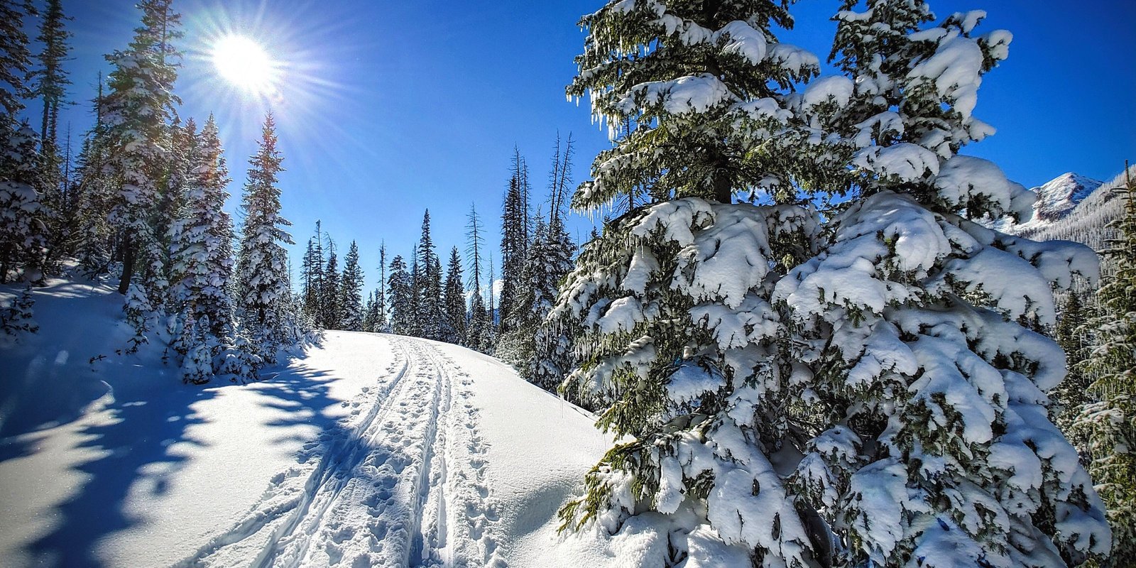 Cross country skiing at Fall Creek