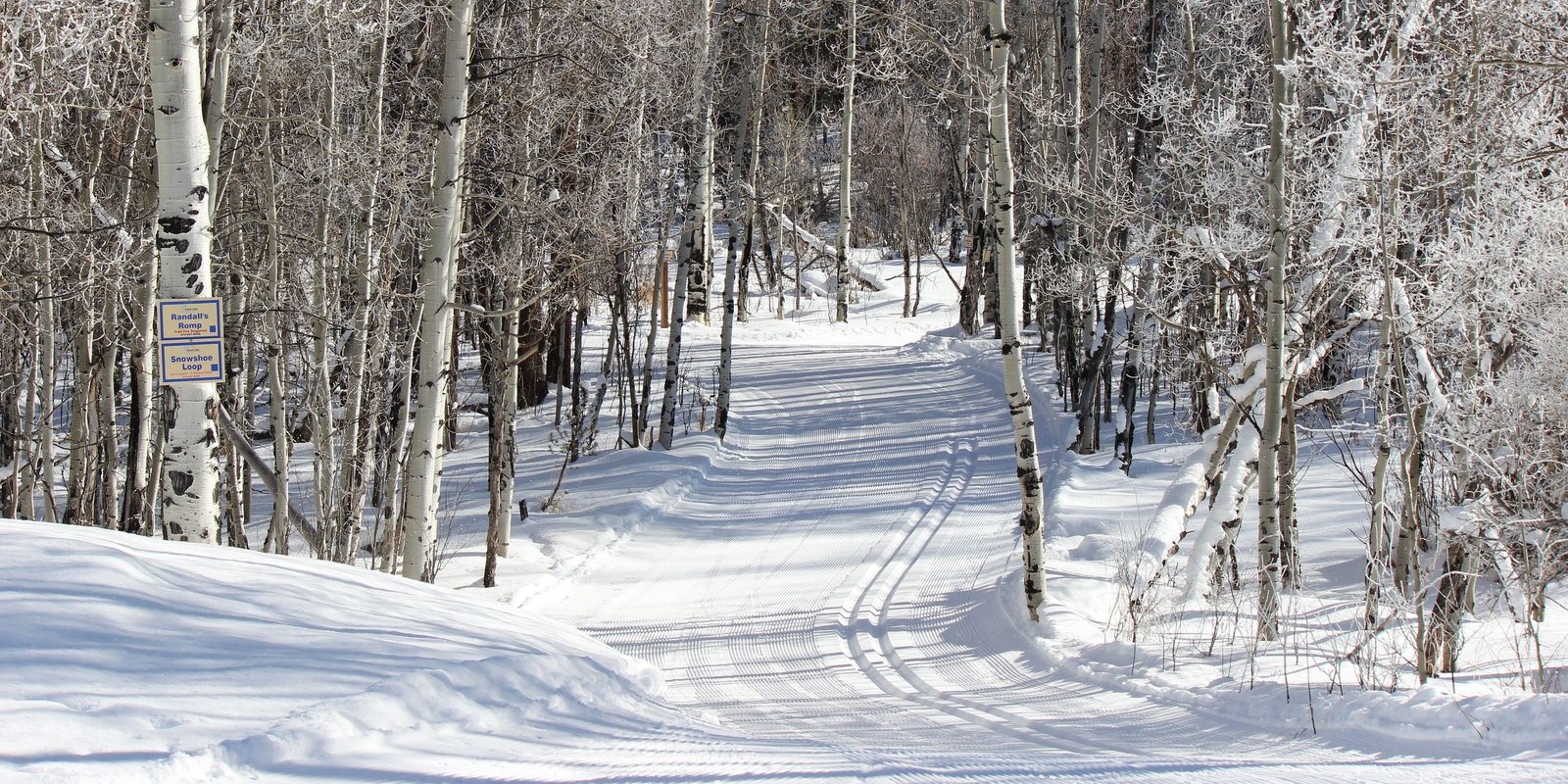 Cross country skiing at Grand Lake Nordic Center
