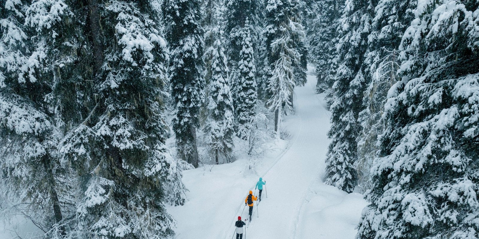 Cross country skiing at LOGE Glacier