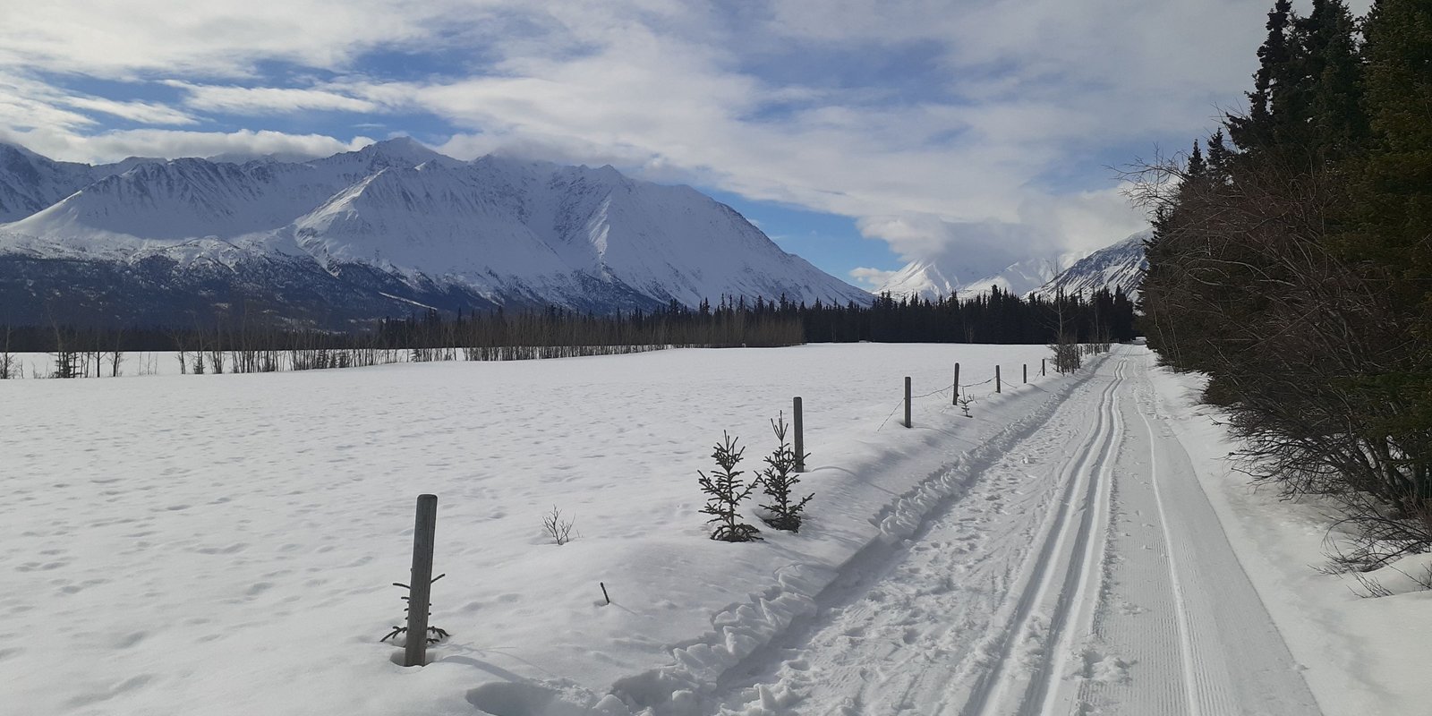 Cross country skiing at St Elias Ski Trails
