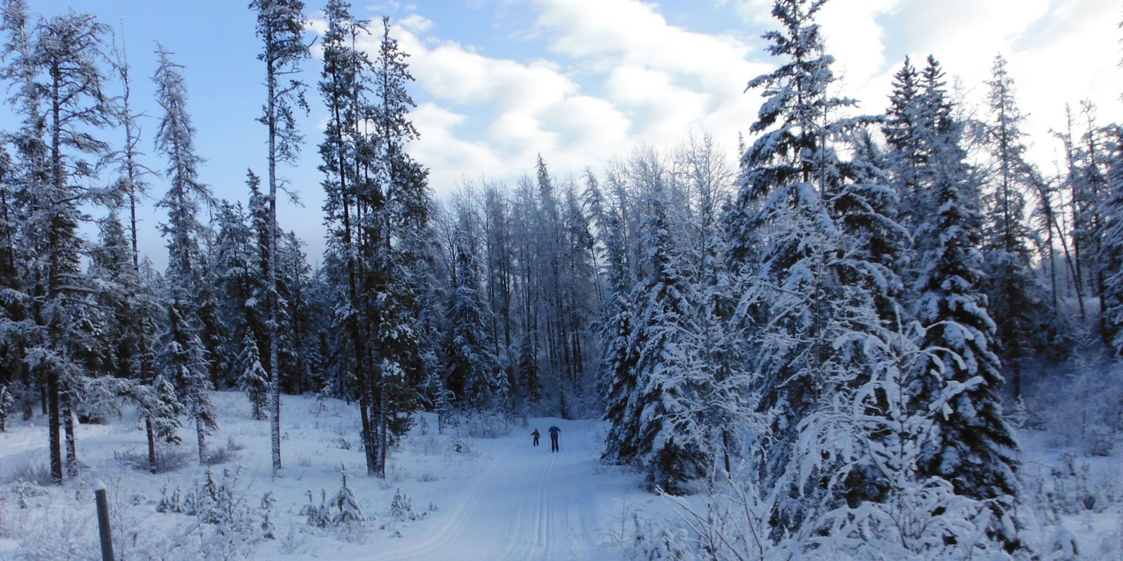 Cross country skiing at Wapiti Nordic Ski Club