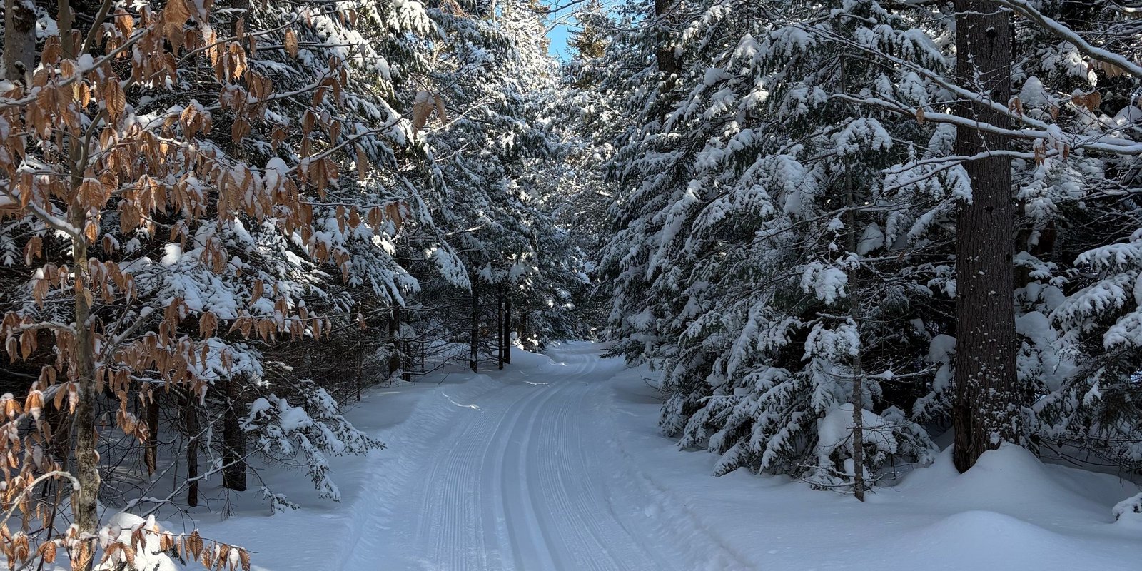 Cross country skiing at Marlboro Nordic Ski Club
