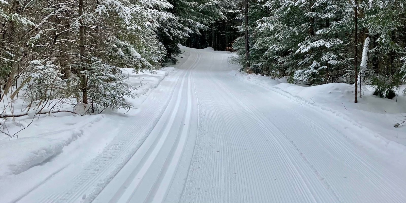 Cross country skiing at Viking Nordic Center