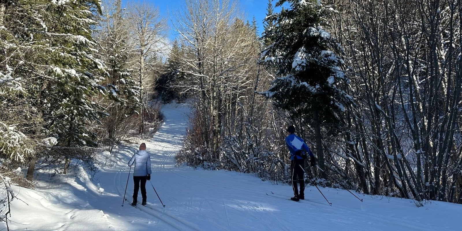 Cross country skiing at Telemark Nordic Club
