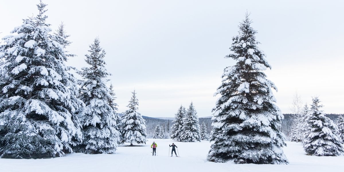 Cross country skiing at UAF North Campus