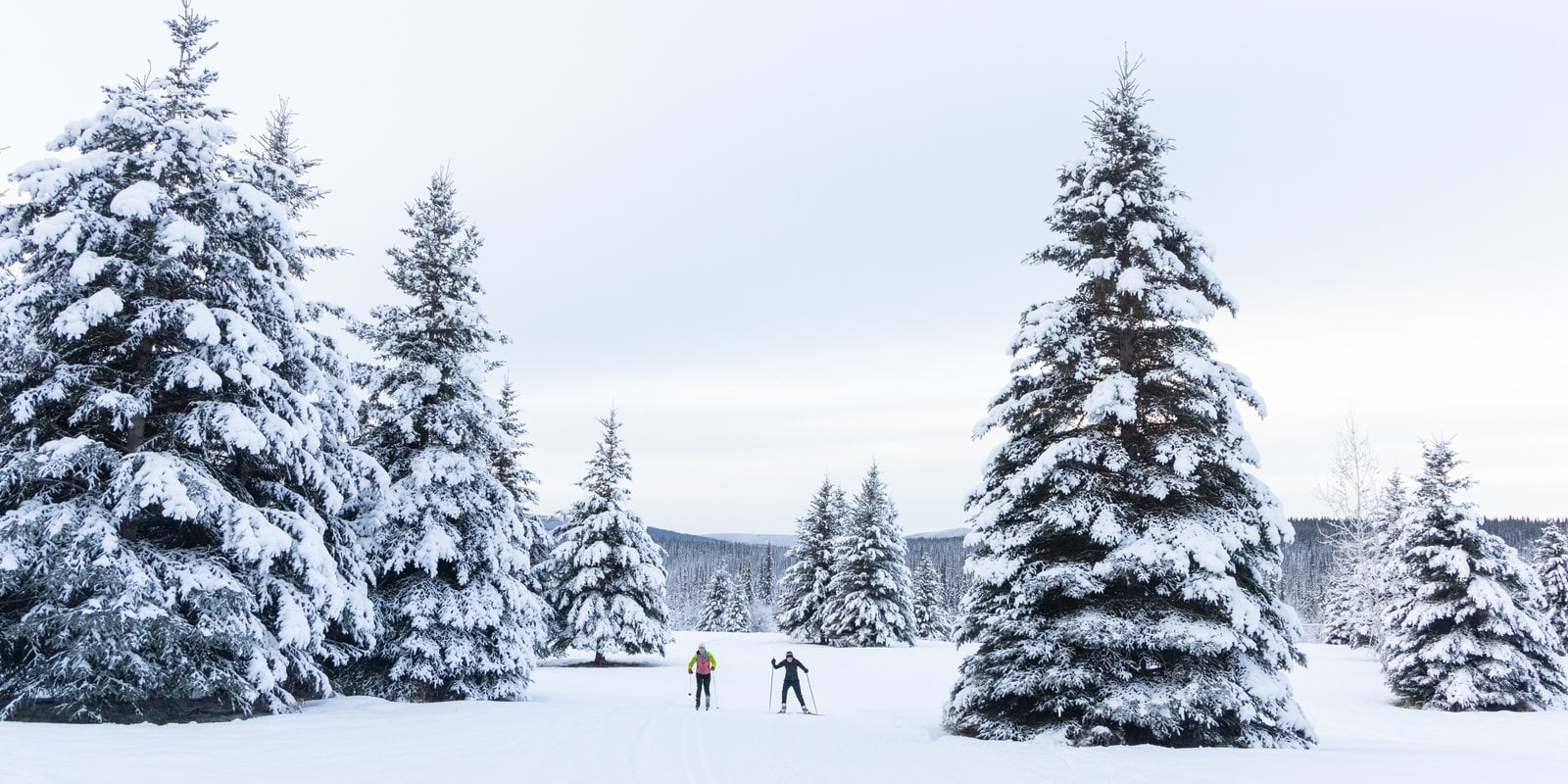Cross country skiing at UAF North Campus