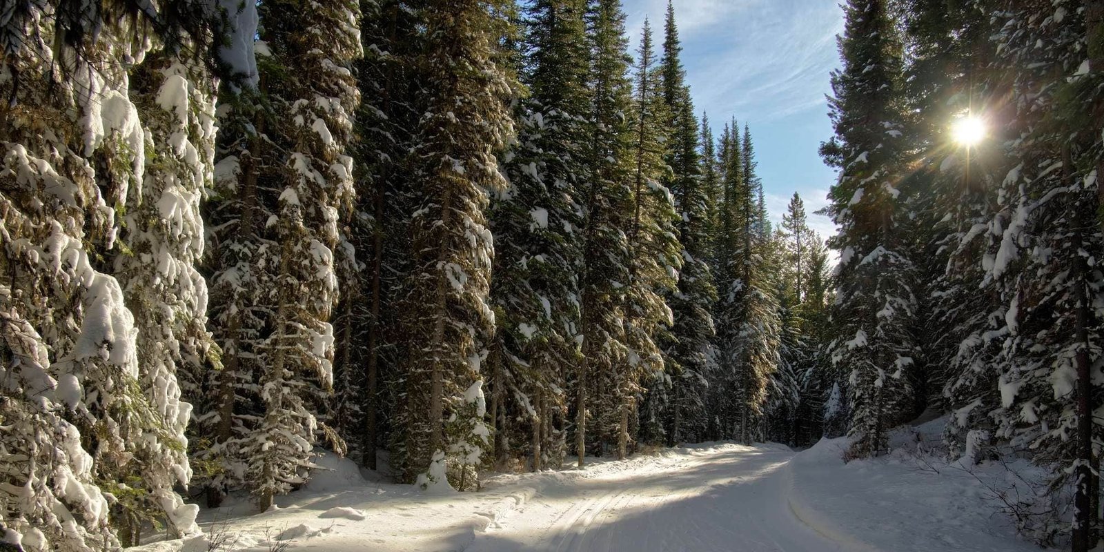 Cross country skiing at Allison-Chinook Provincial Park