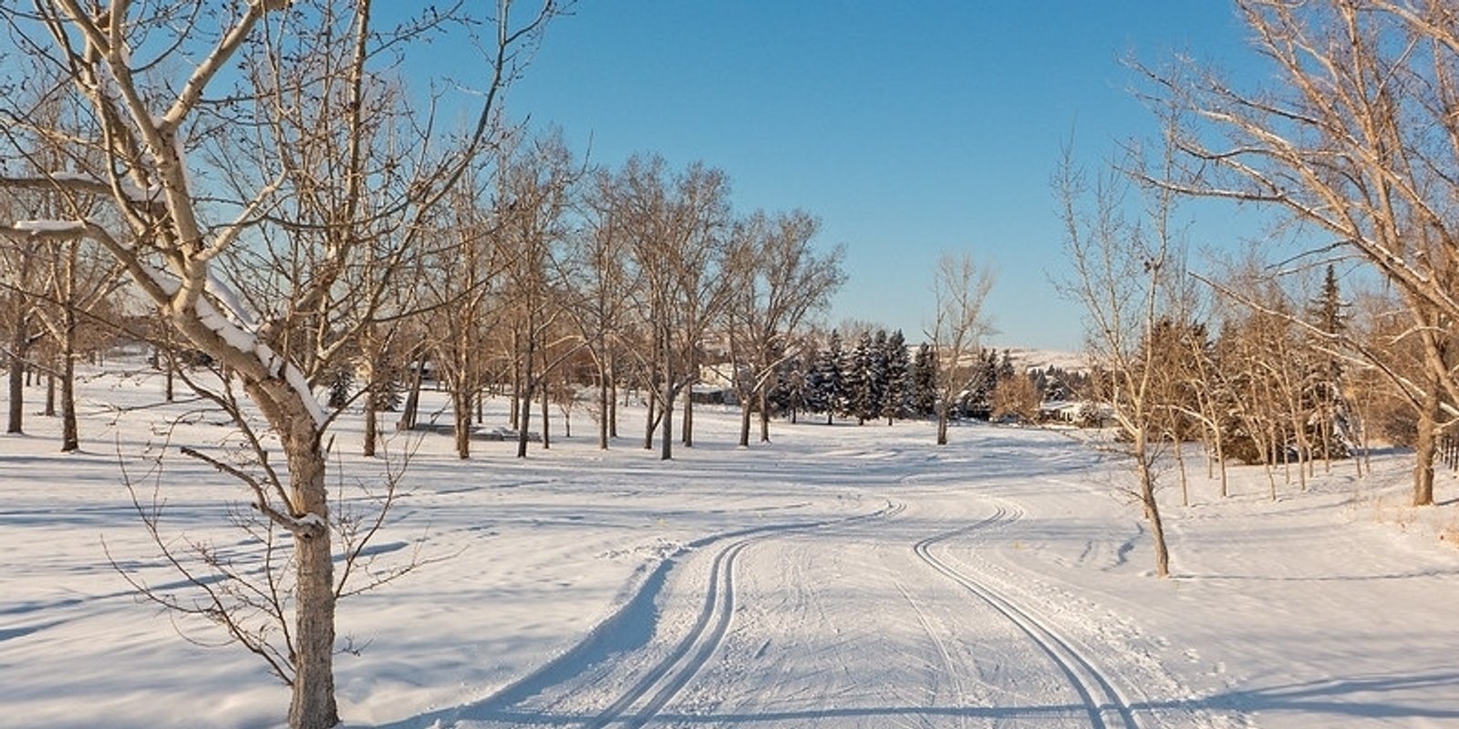 Cross country skiing at Calgary Confederation Park Golf Course