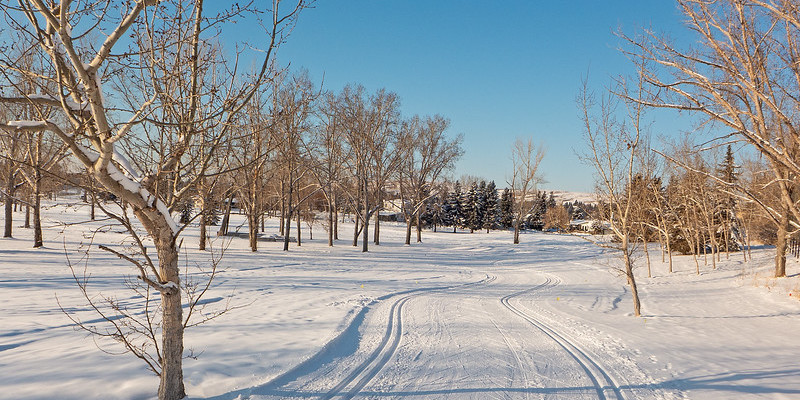 Cross country skiing at Calgary Confederation Park Golf Course