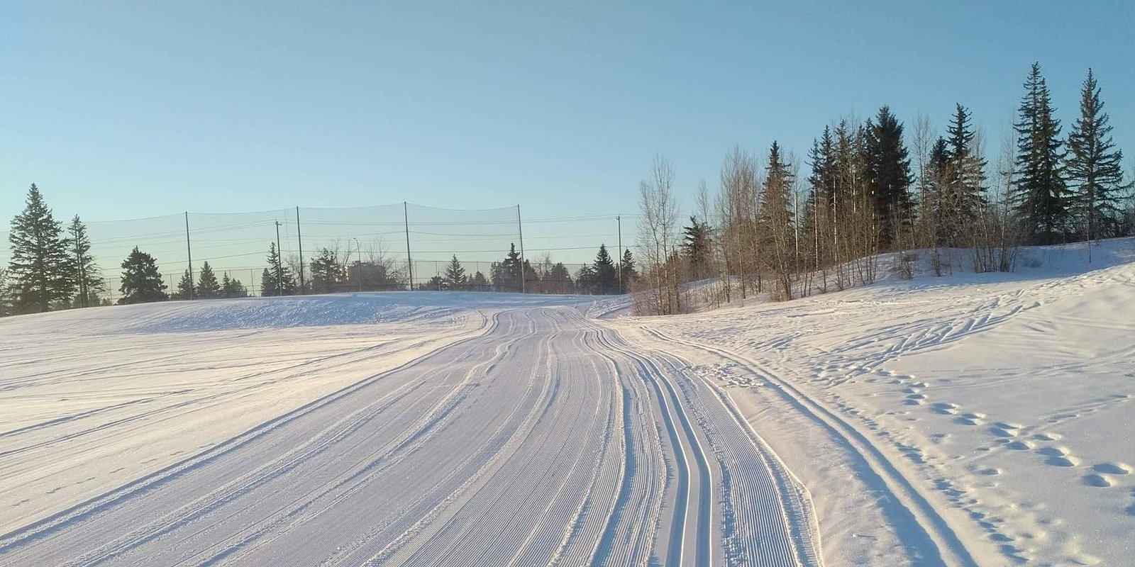Cross country skiing at Calgary Shaganappi Point Golf Course