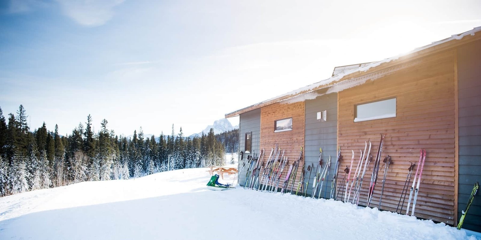 Cross country skiing at Canmore Nordic Centre