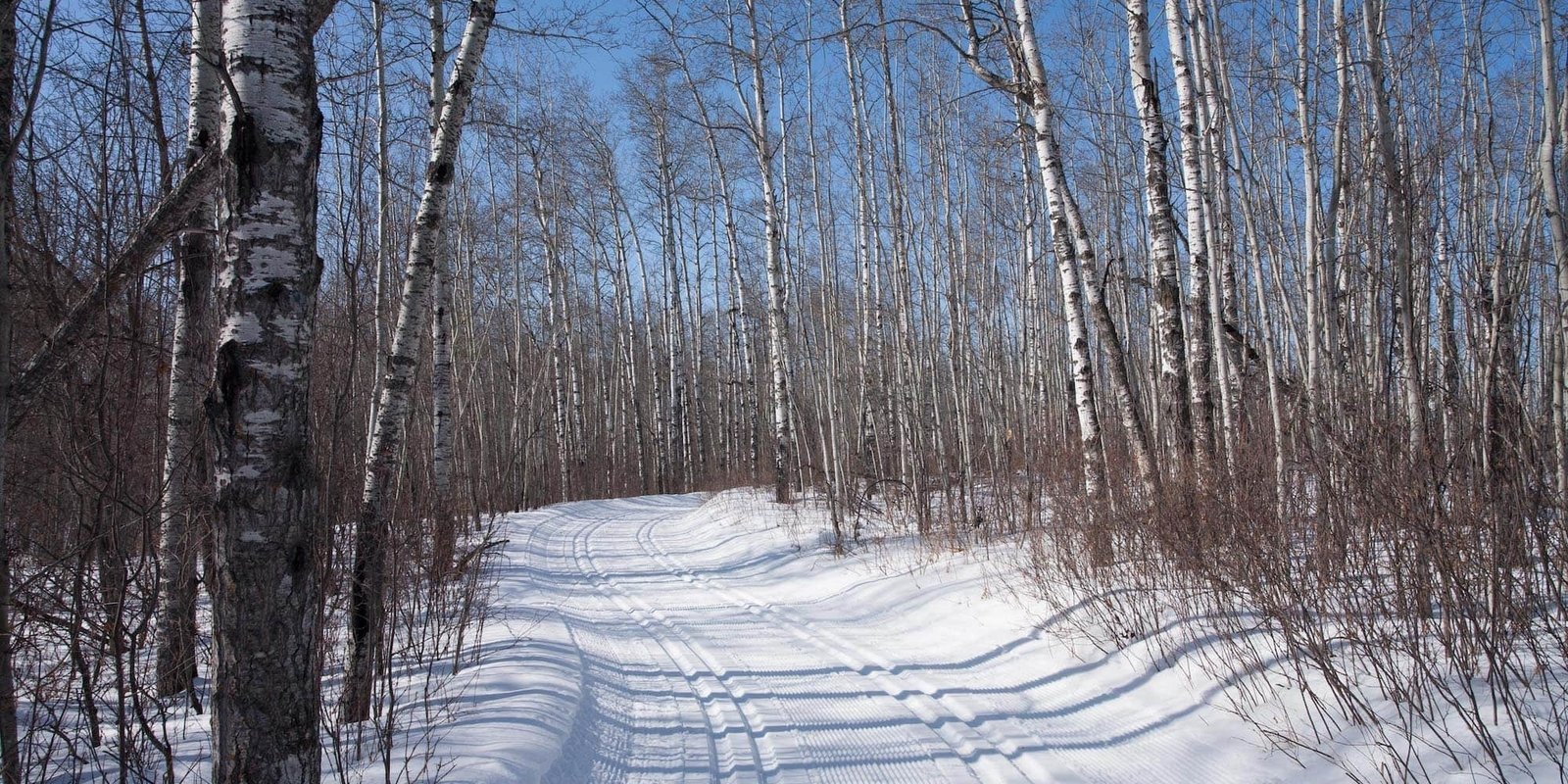 Cross country skiing at Cooking Lake - Blackfoot
