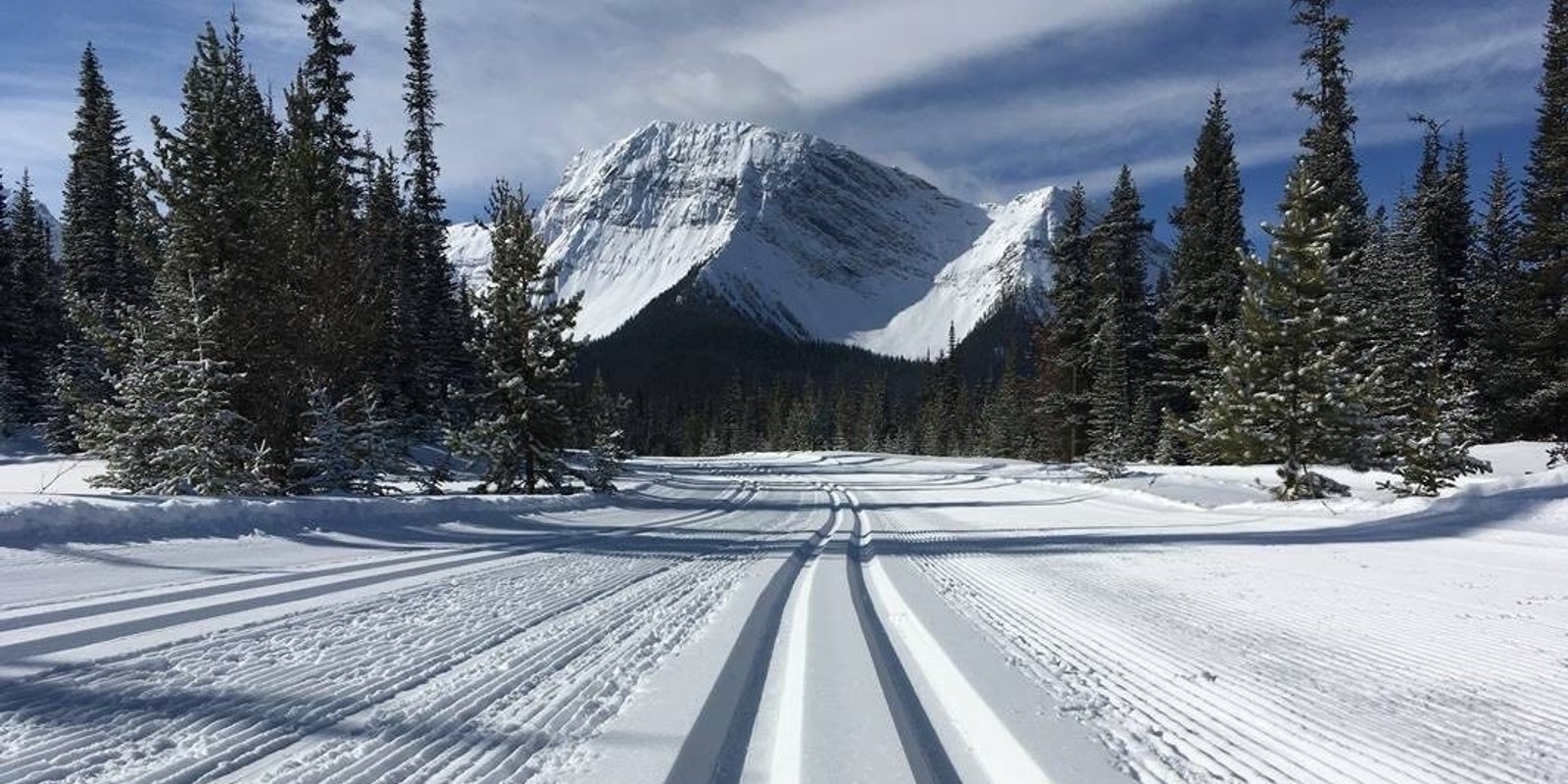 Cross country skiing at Mt Shark